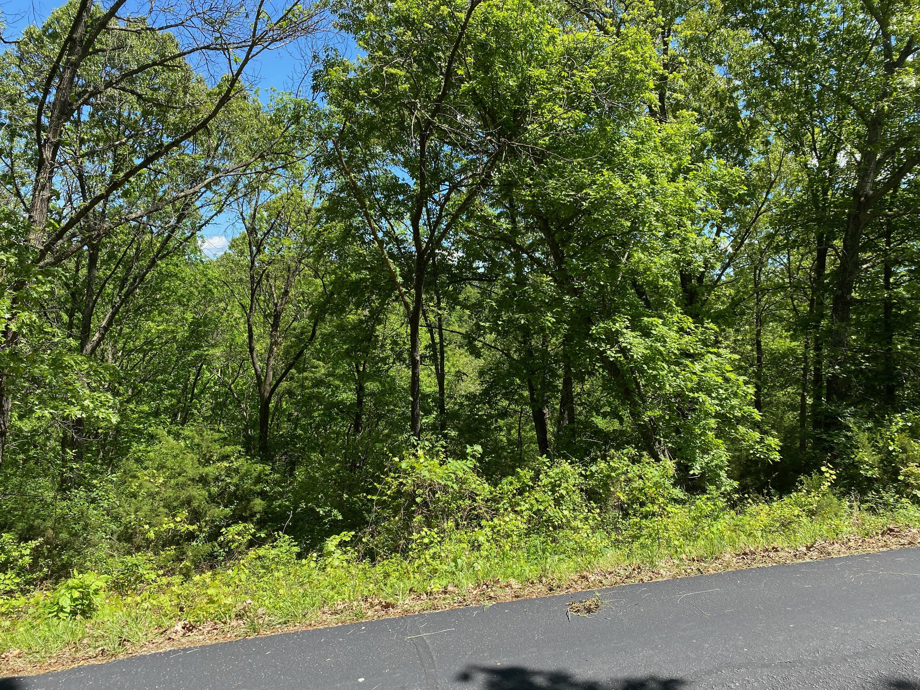 Photo 4 - Land for sale – 0  Mule Barn Drive  Cape Fair, MO