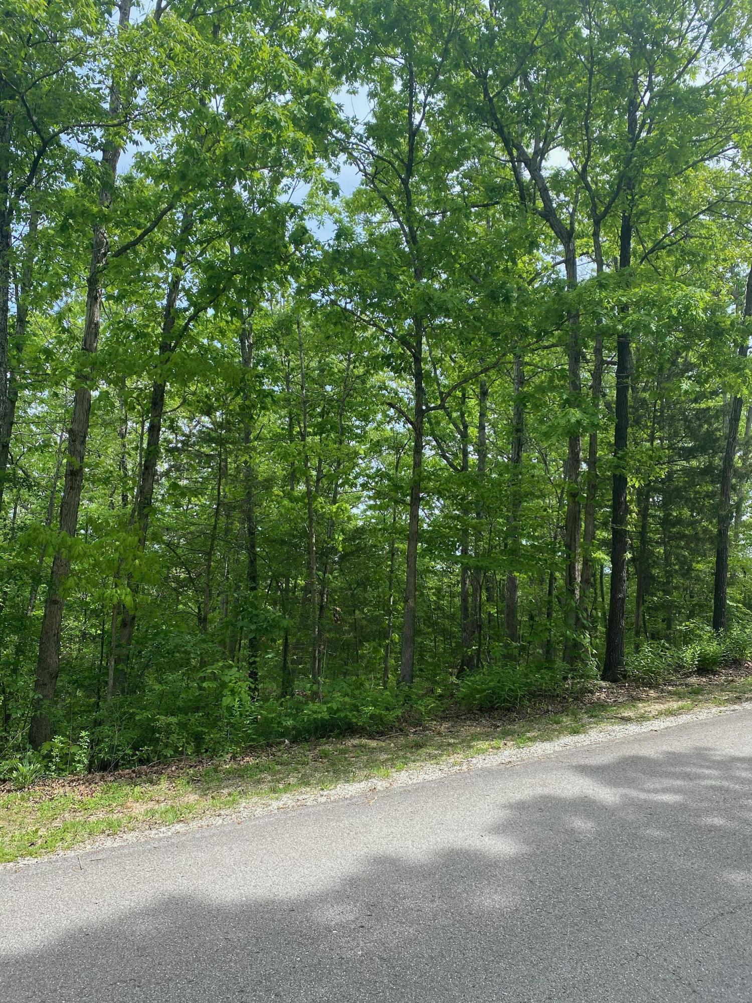 Photo 2 - Land for sale – 0  Silver Cliff Way  Branson West, MO