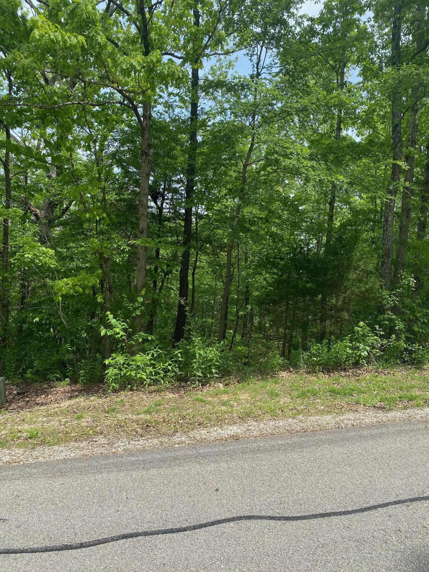 Photo 3 - Land for sale – 0  Silver Cliff Way  Branson West, MO