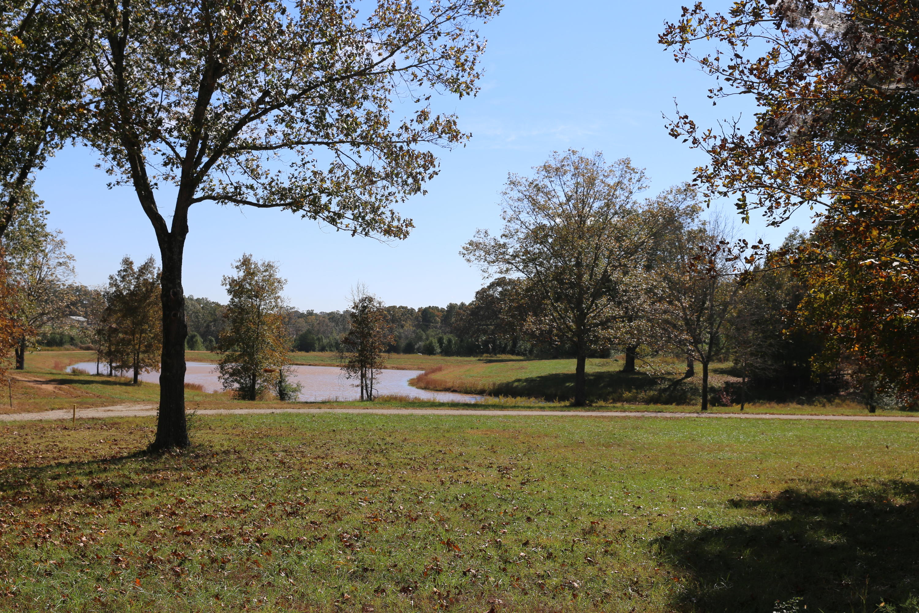 Photo 4 - Land for sale – 000  Wild Turkey Road   West Plains, MO