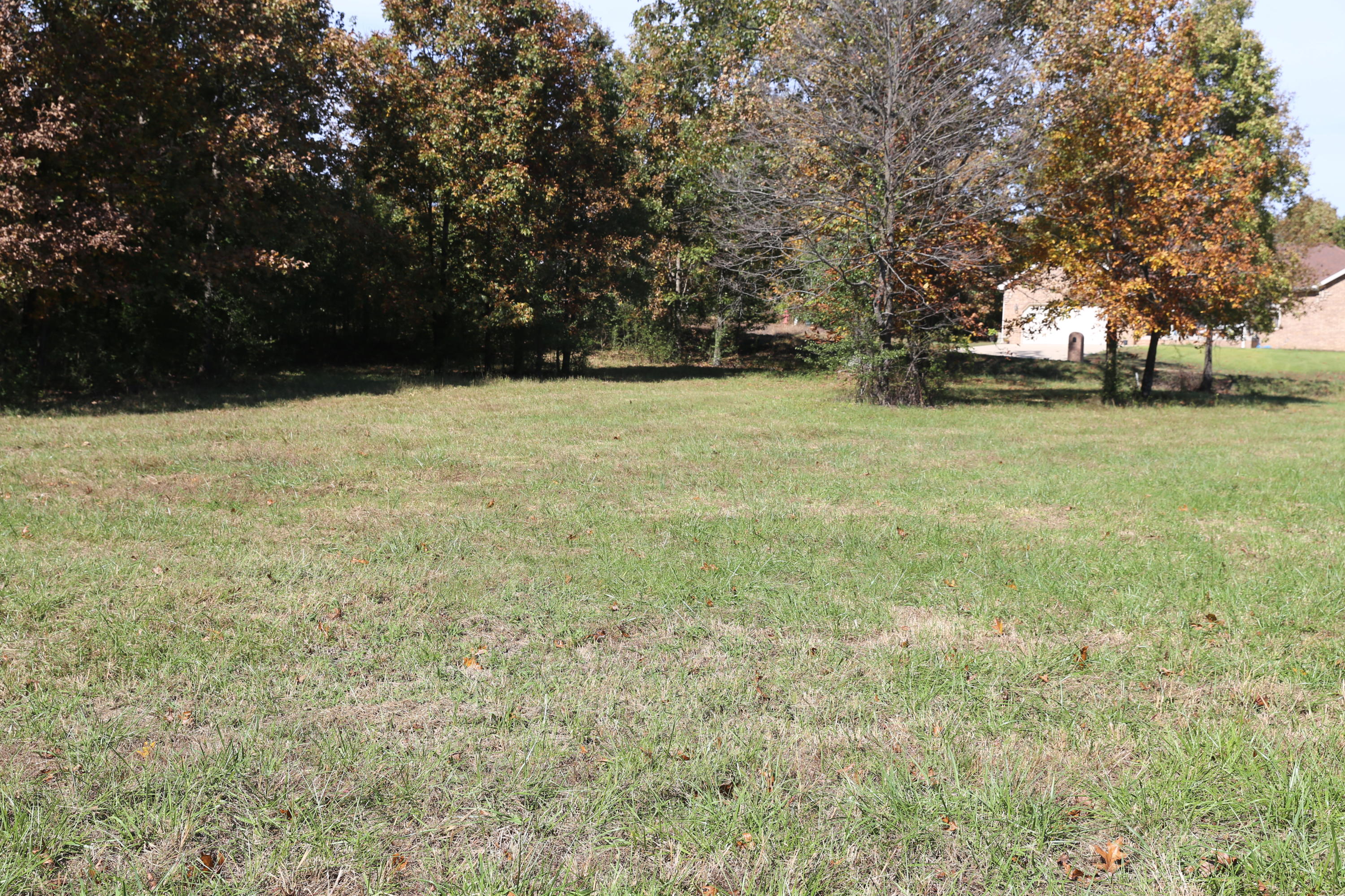 Photo 3 - Land for sale – 000  Wild Turkey Road   West Plains, MO