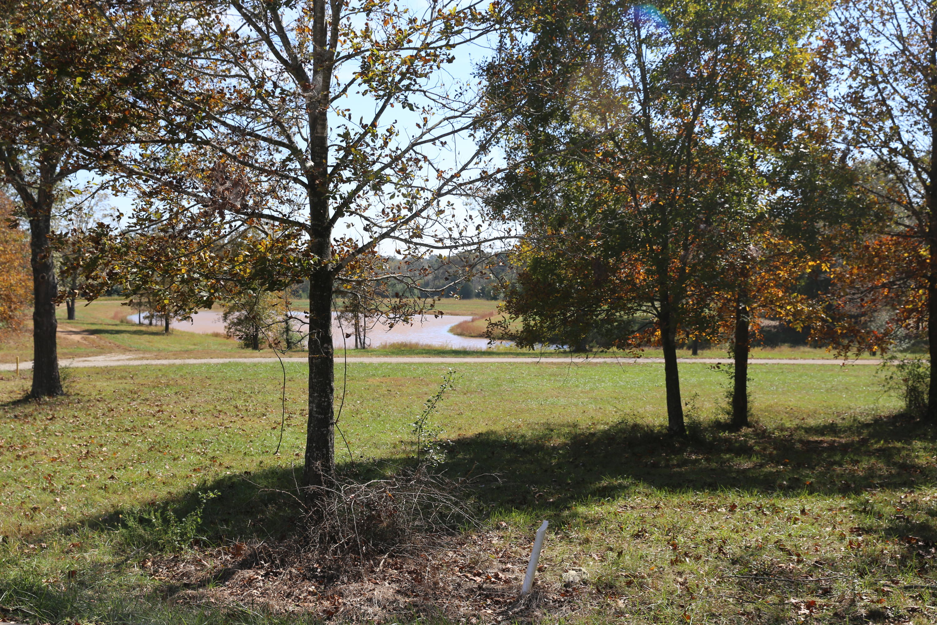 Photo 3 - Land for sale – 000  Wild Turkey   West Plains, MO