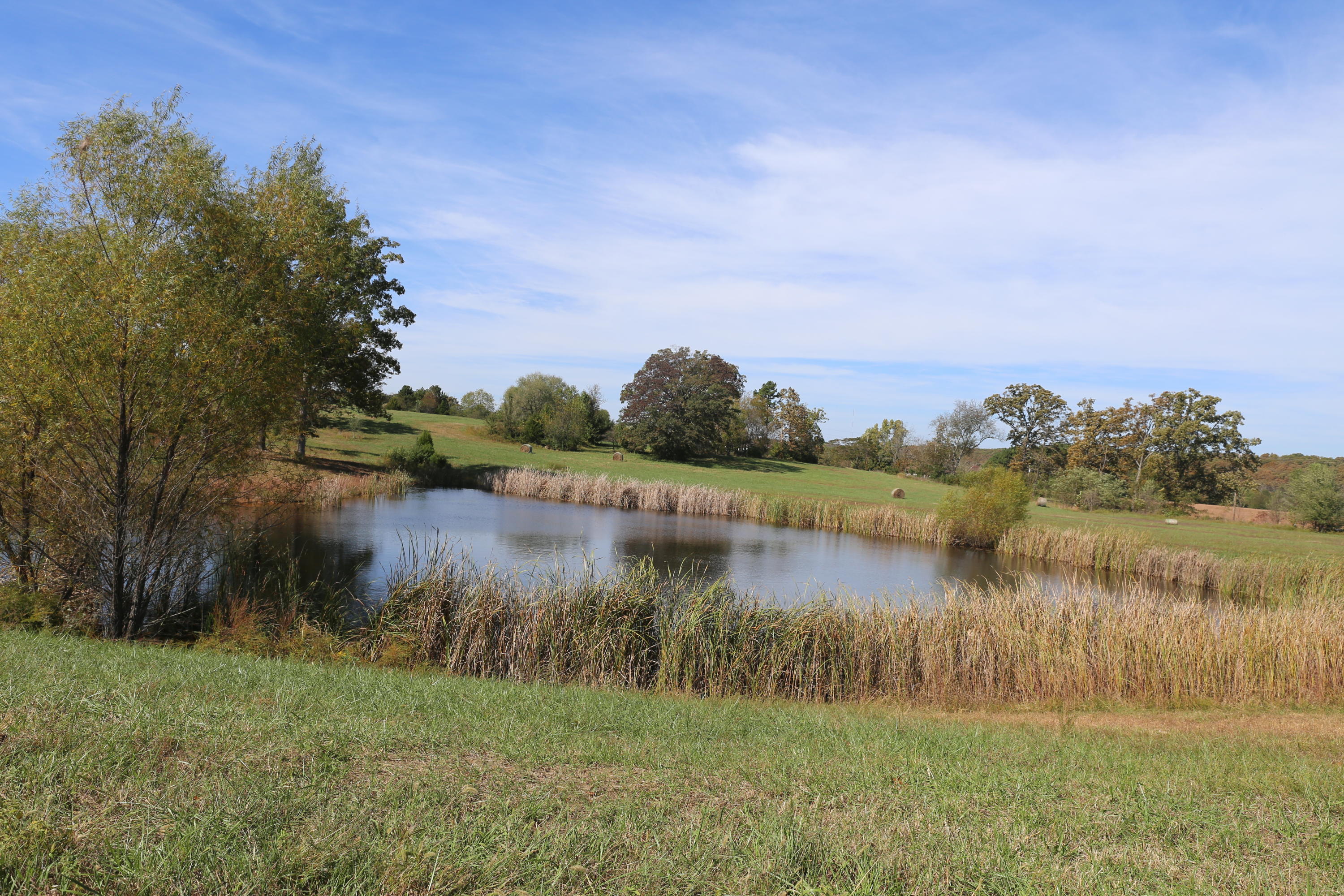 Photo 4 - Land for sale – 000  Wild Turkey   West Plains, MO