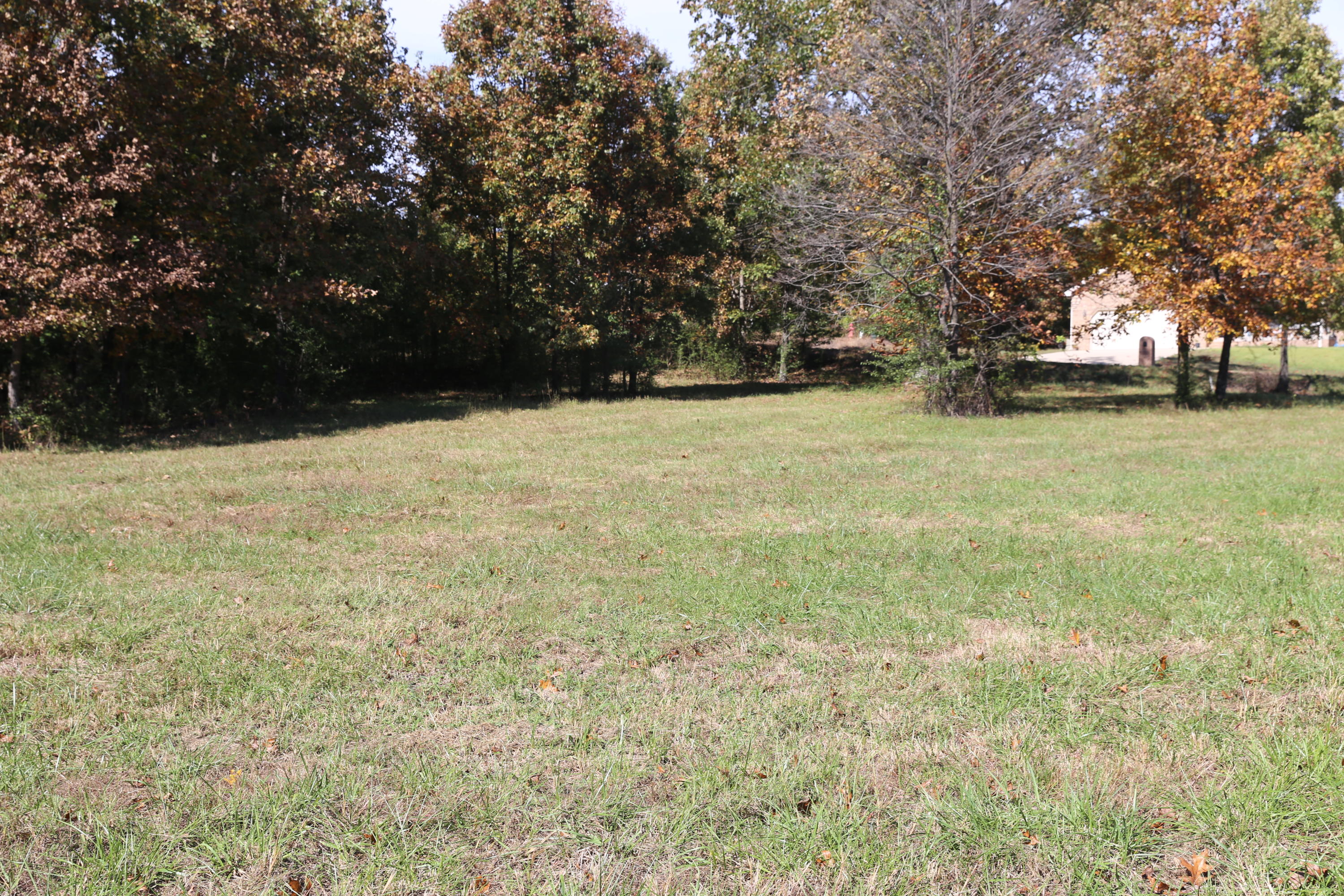 Photo 8 - Land for sale – 000  Wild Turkey   West Plains, MO