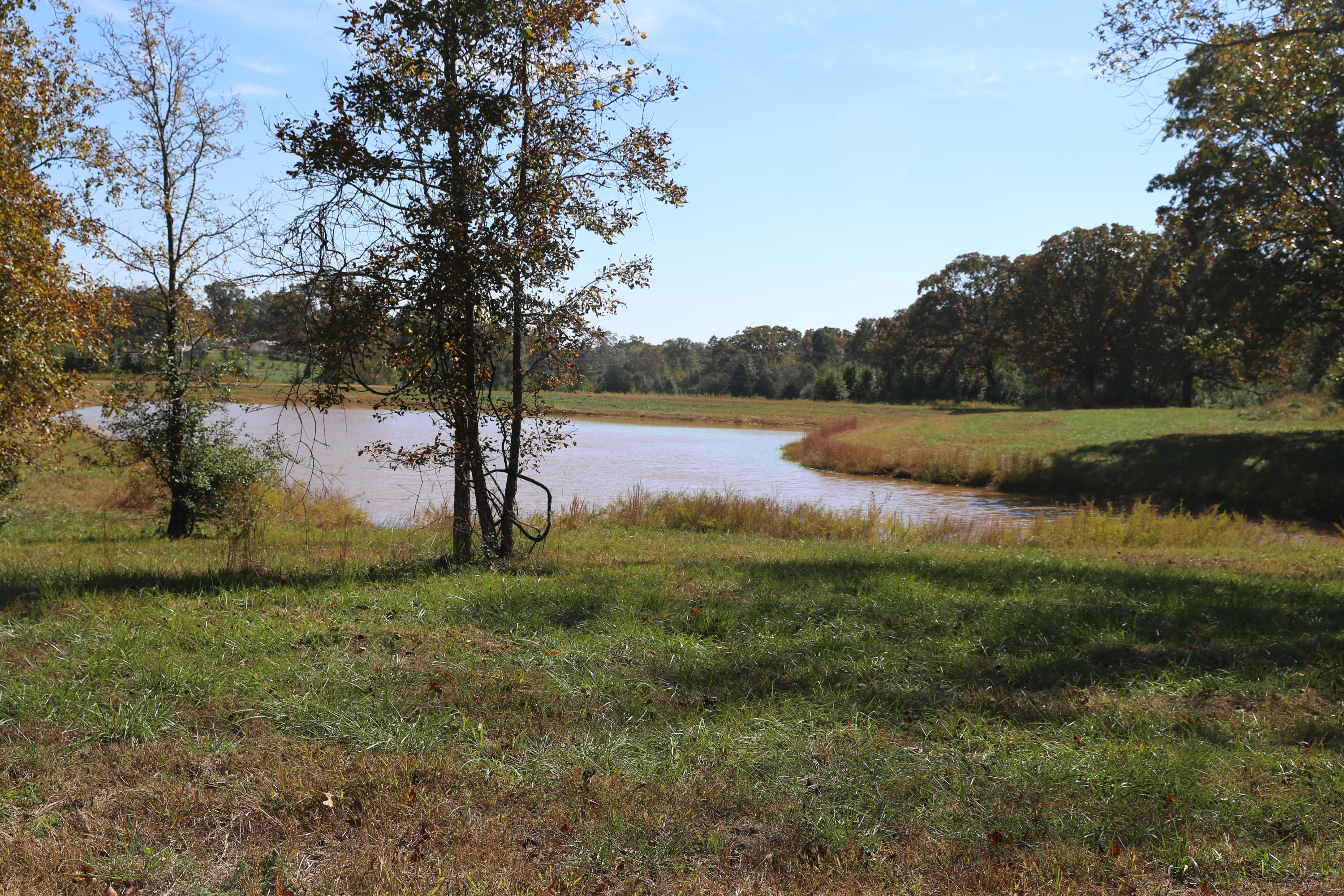 Photo 7 - Land for sale – 000  Wild Turkey   West Plains, MO
