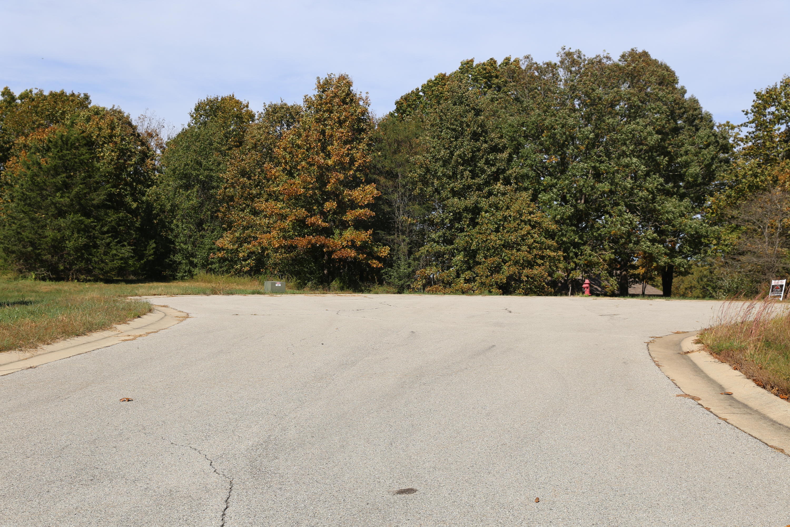 Photo 5 - Land for sale – 000  Wild Turkey   West Plains, MO