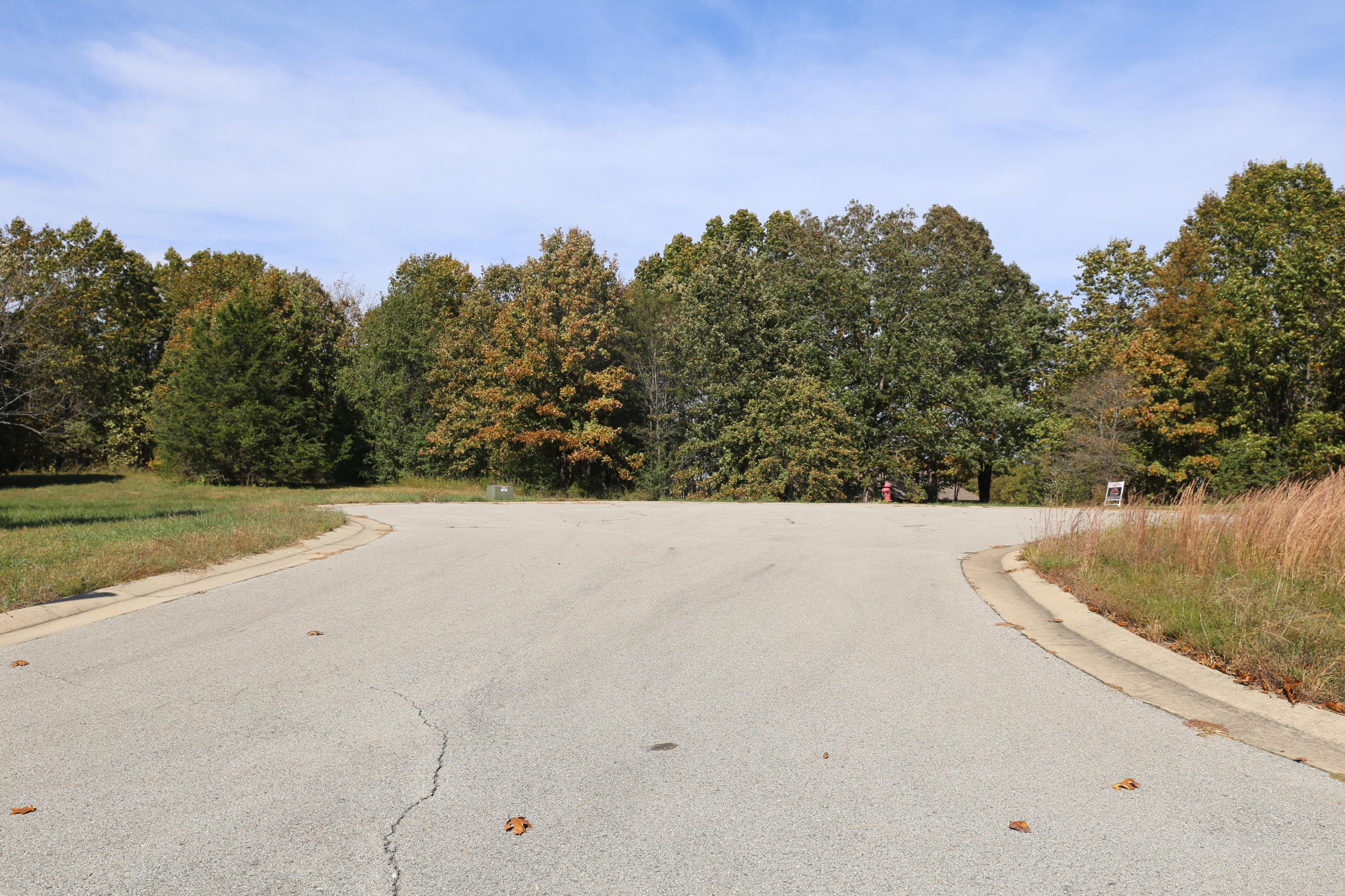 Photo 3 - Land for sale – 000  Wild Turkey Road  West Plains, MO