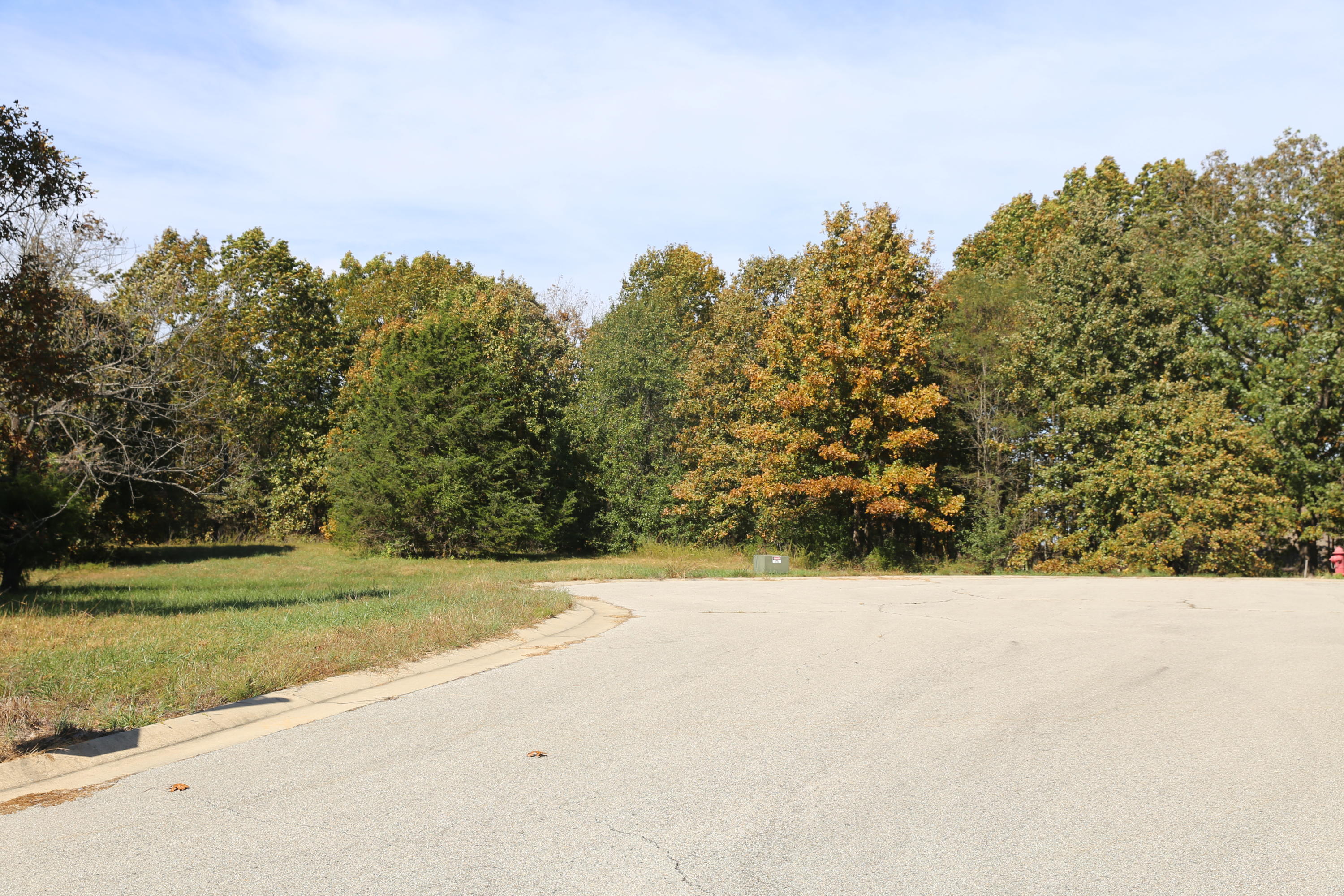 Photo 4 - Land for sale – 000  Wild Turkey Road  West Plains, MO