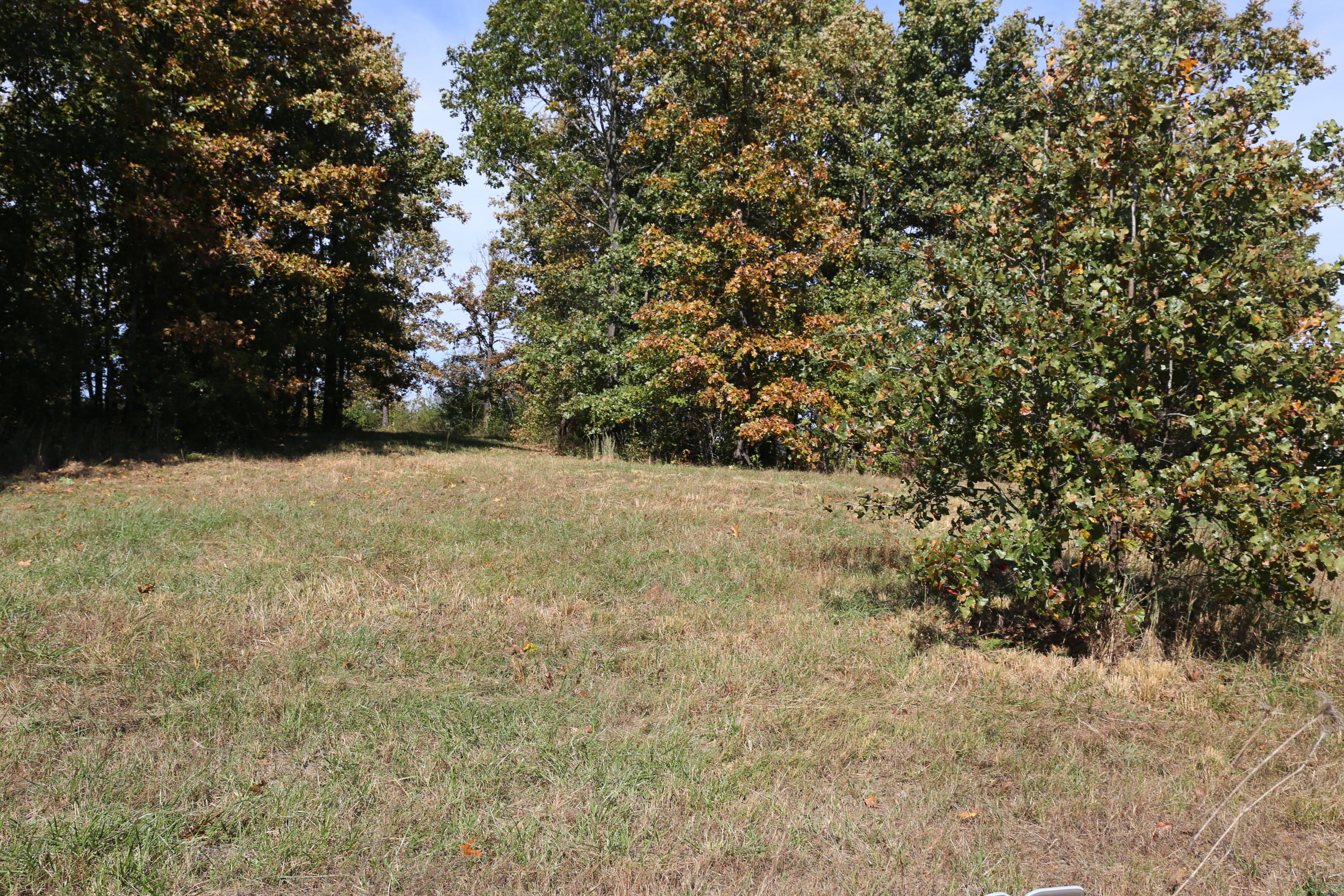 Land for sale – 000  Wild Turkey Road  West Plains, MO