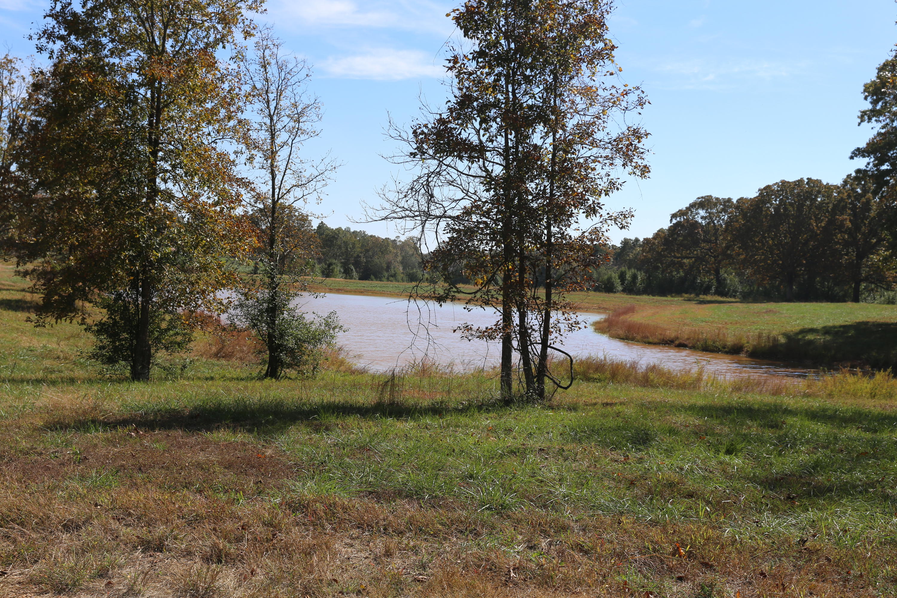 Photo 6 - Land for sale – 000  Wild Turkey Road  West Plains, MO