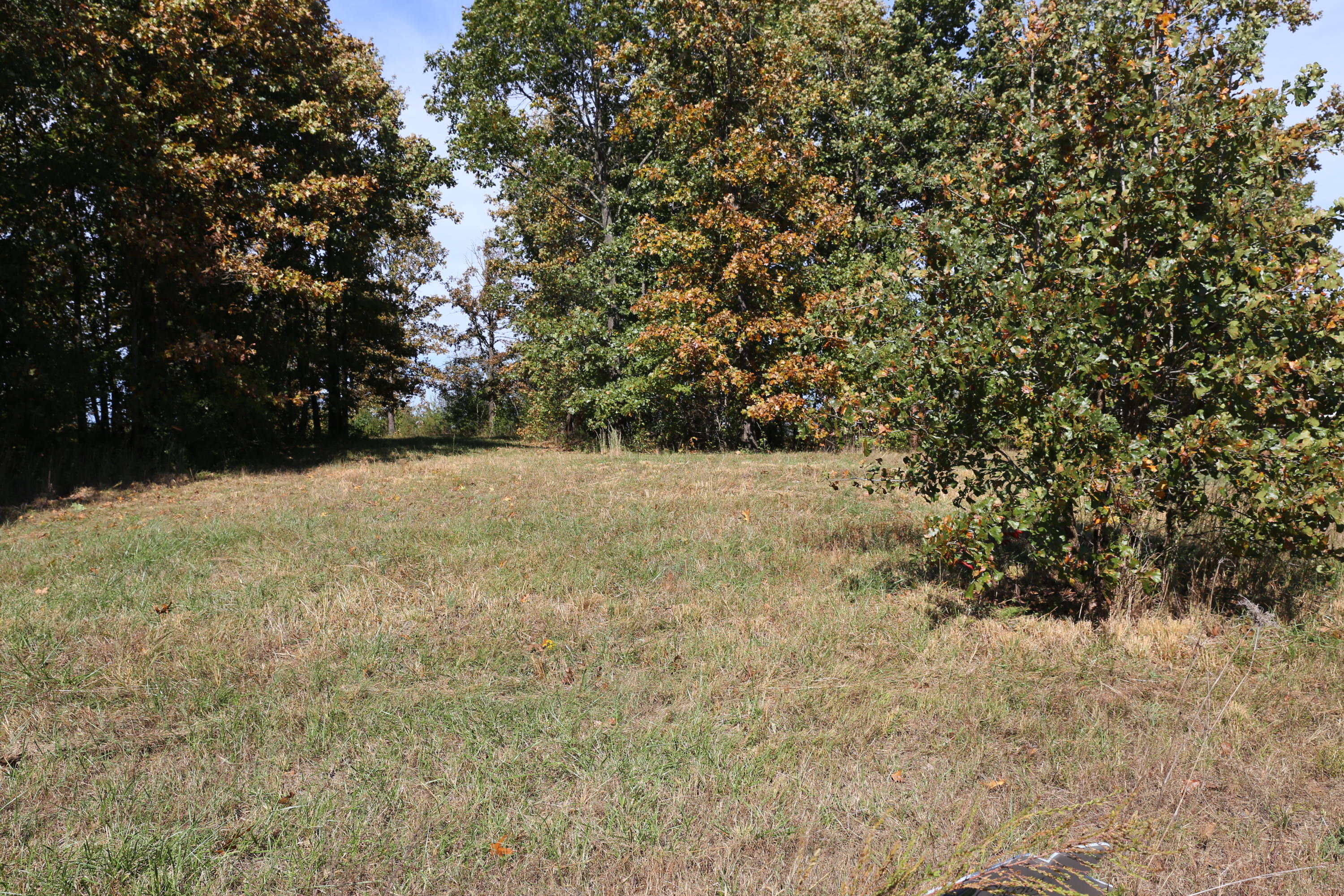 Land for sale – 000  Wild Turkey Road  West Plains, MO