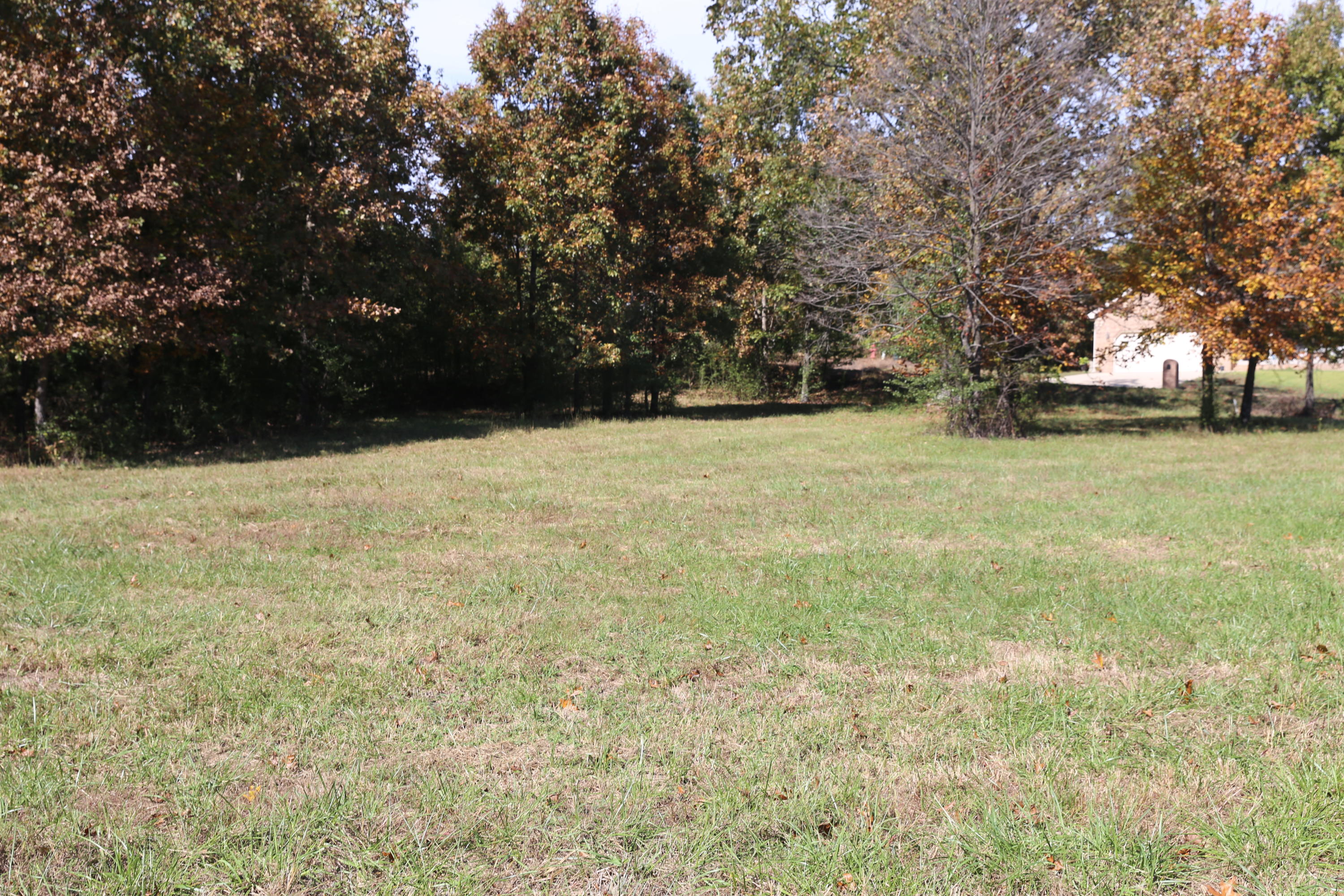 Photo 8 - Land for sale – 000  Wild Turkey Road  West Plains, MO
