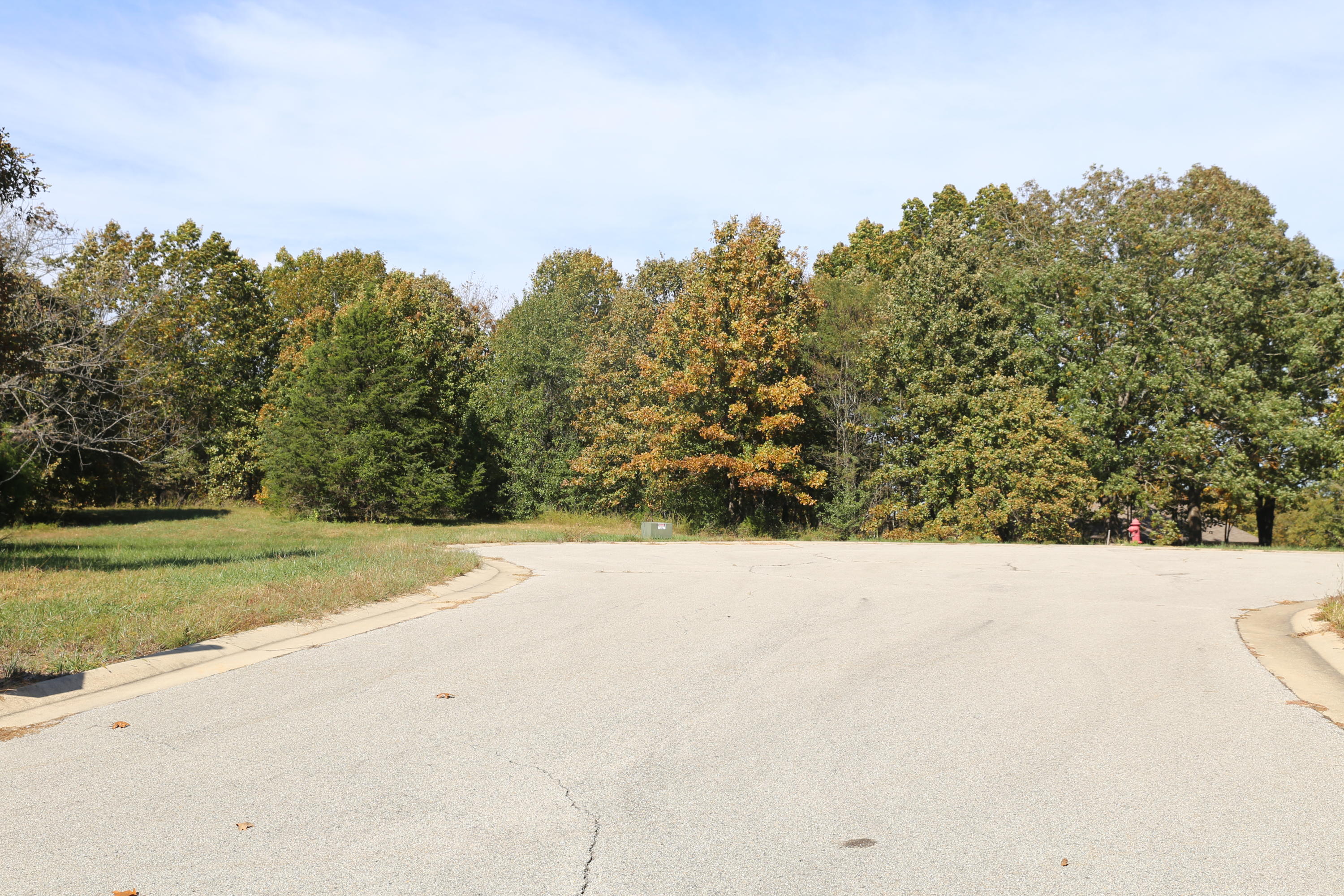 Photo 4 - Land for sale – 000  Wild Turkey Road  West Plains, MO