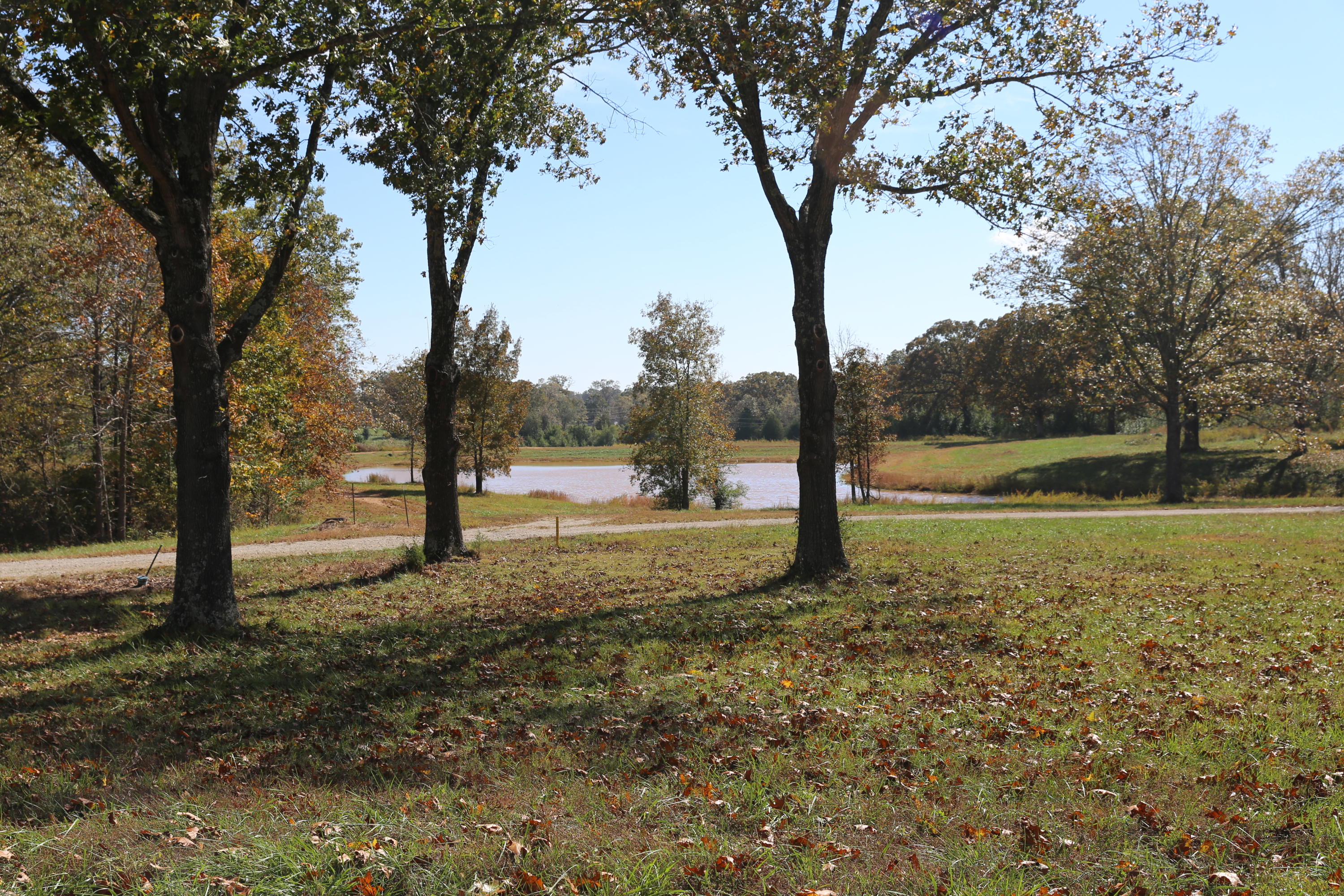 Photo 10 - Land for sale – 000  Wild Turkey Road  West Plains, MO