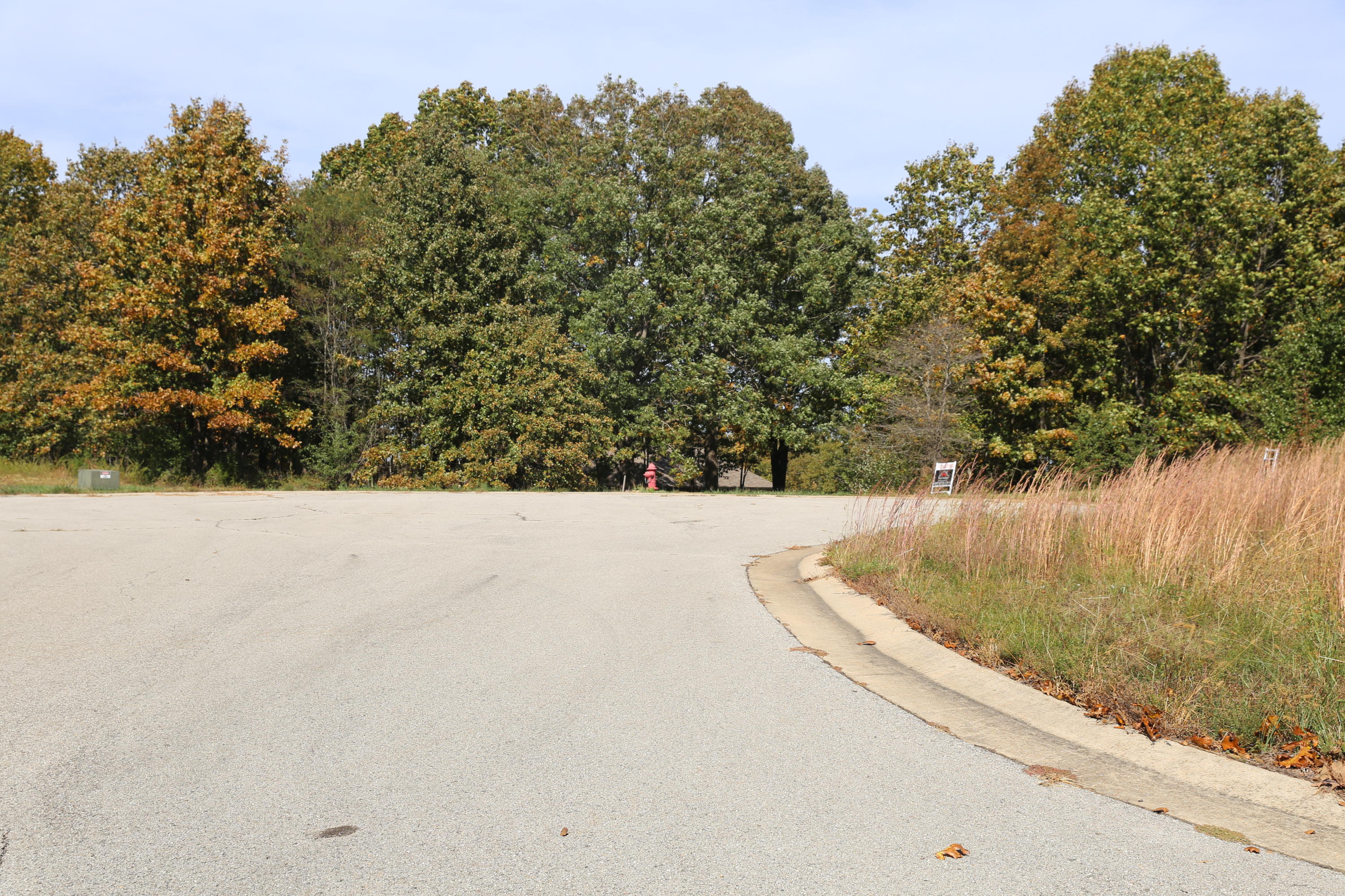 Photo 6 - Land for sale – 000  Wild Turkey Road  West Plains, MO