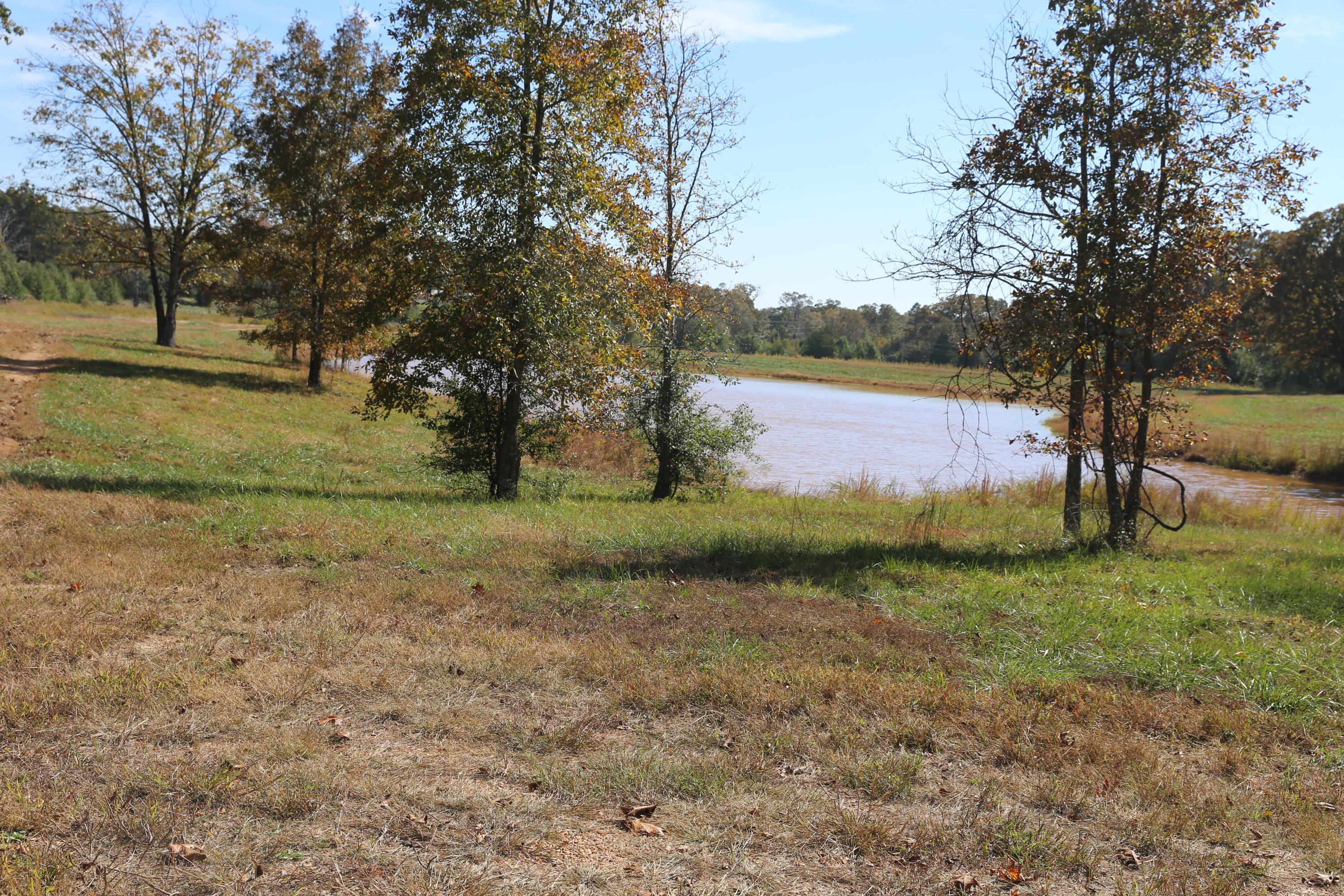 Photo 7 - Land for sale – 000  Wild Turkey Road  West Plains, MO