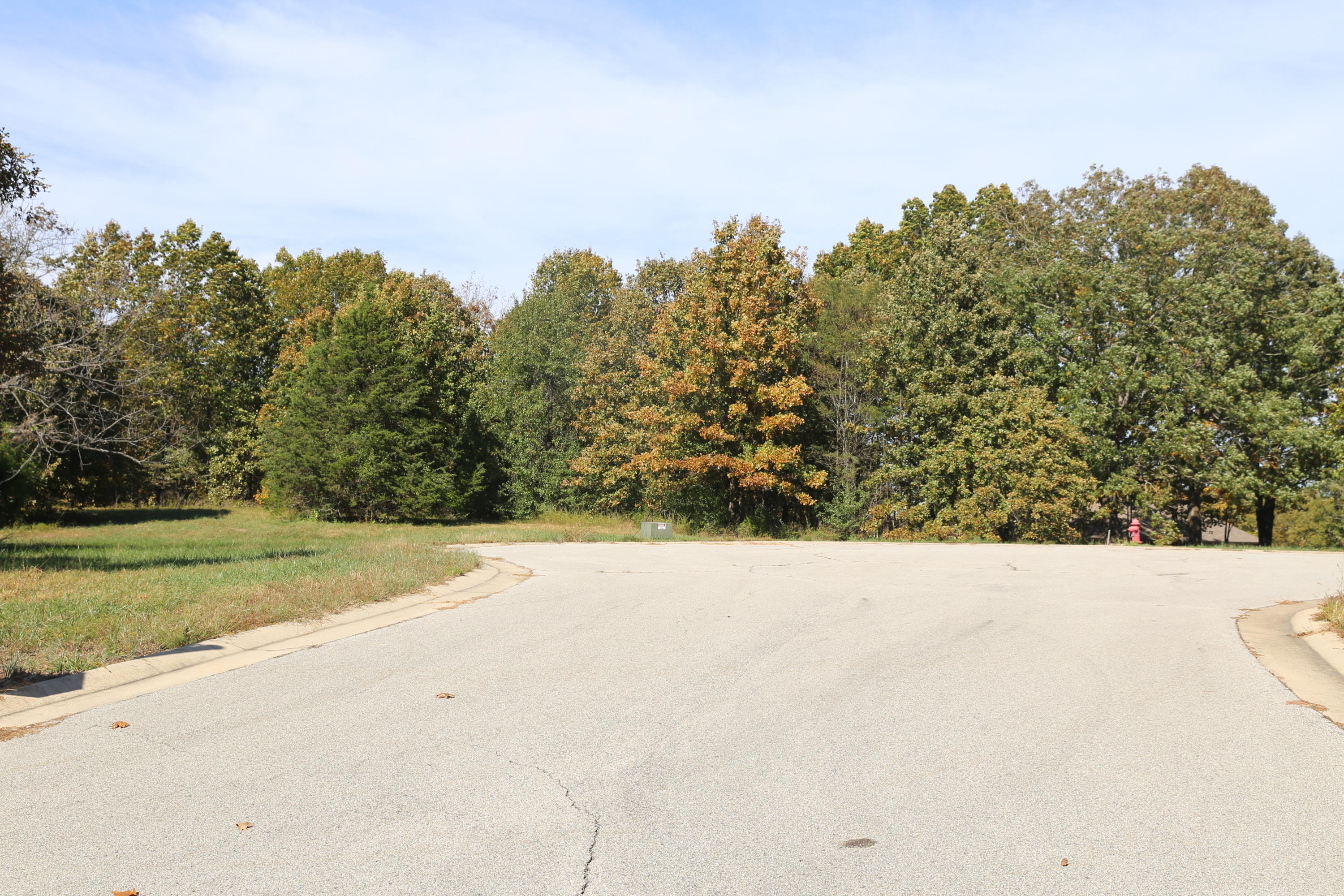 Photo 4 - Land for sale – 000  Wild Turkey Road  West Plains, MO