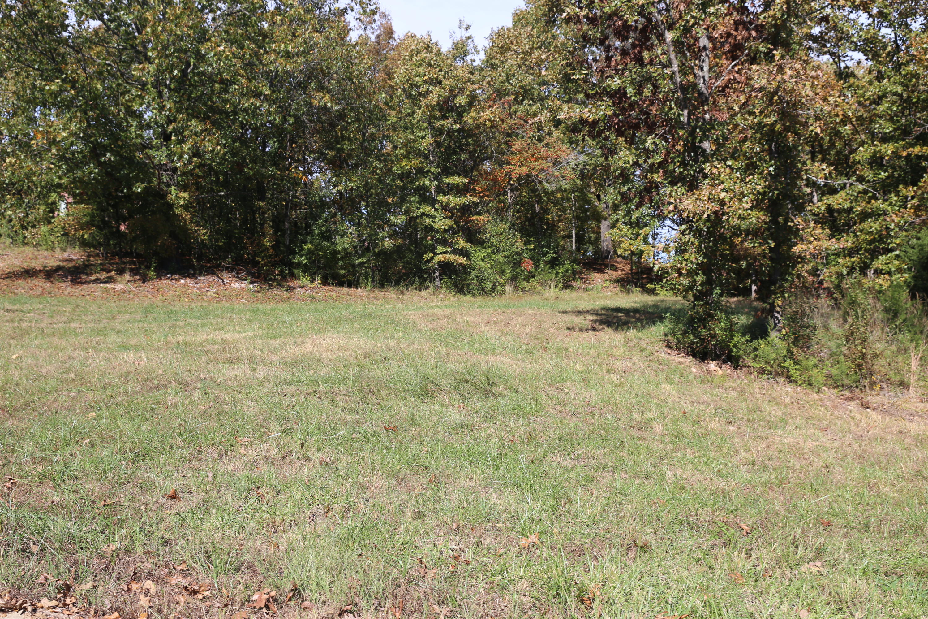 Photo 9 - Land for sale – 000  Wild Turkey Road  West Plains, MO