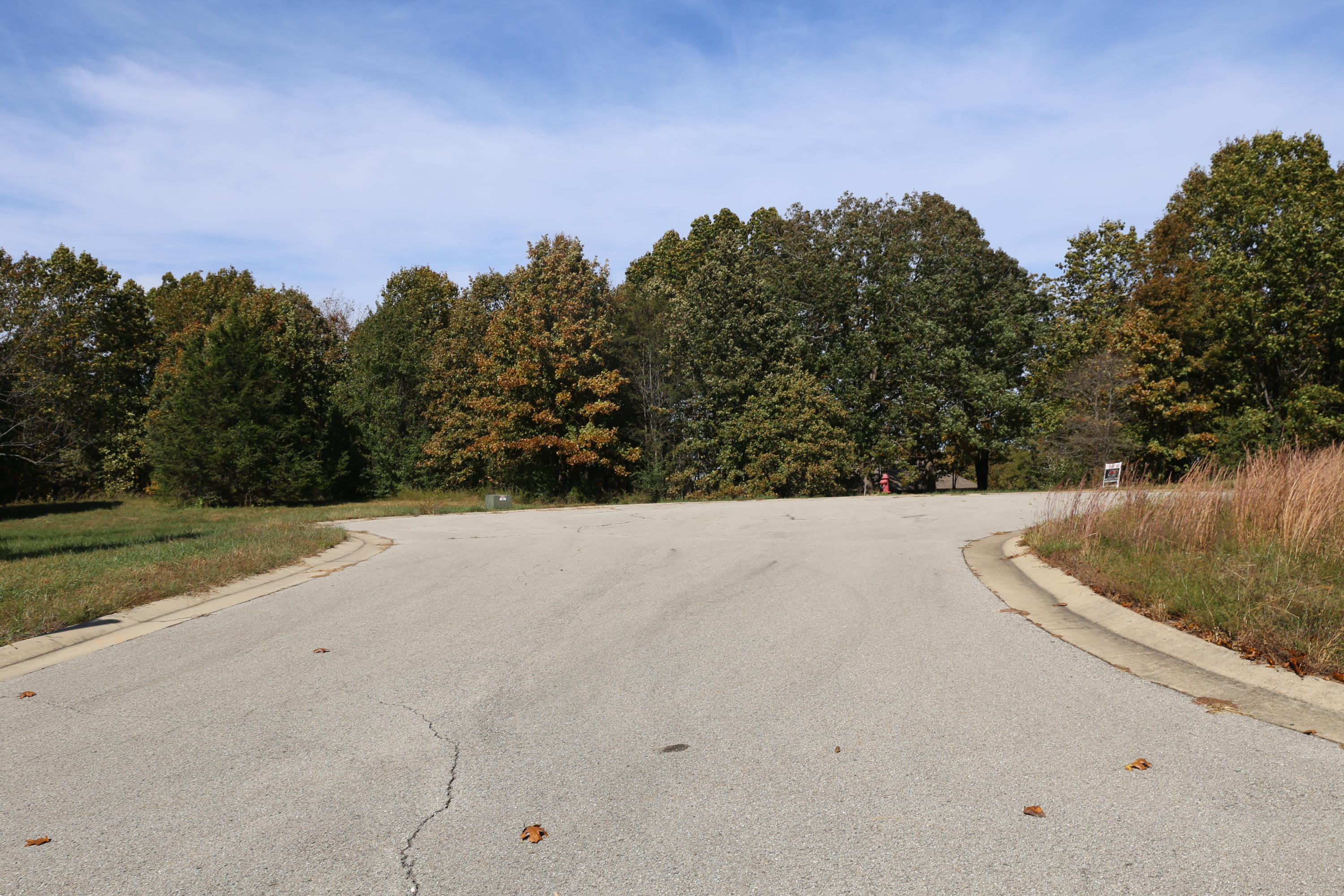 Photo 3 - Land for sale – 000  Wild Turkey Road  West Plains, MO