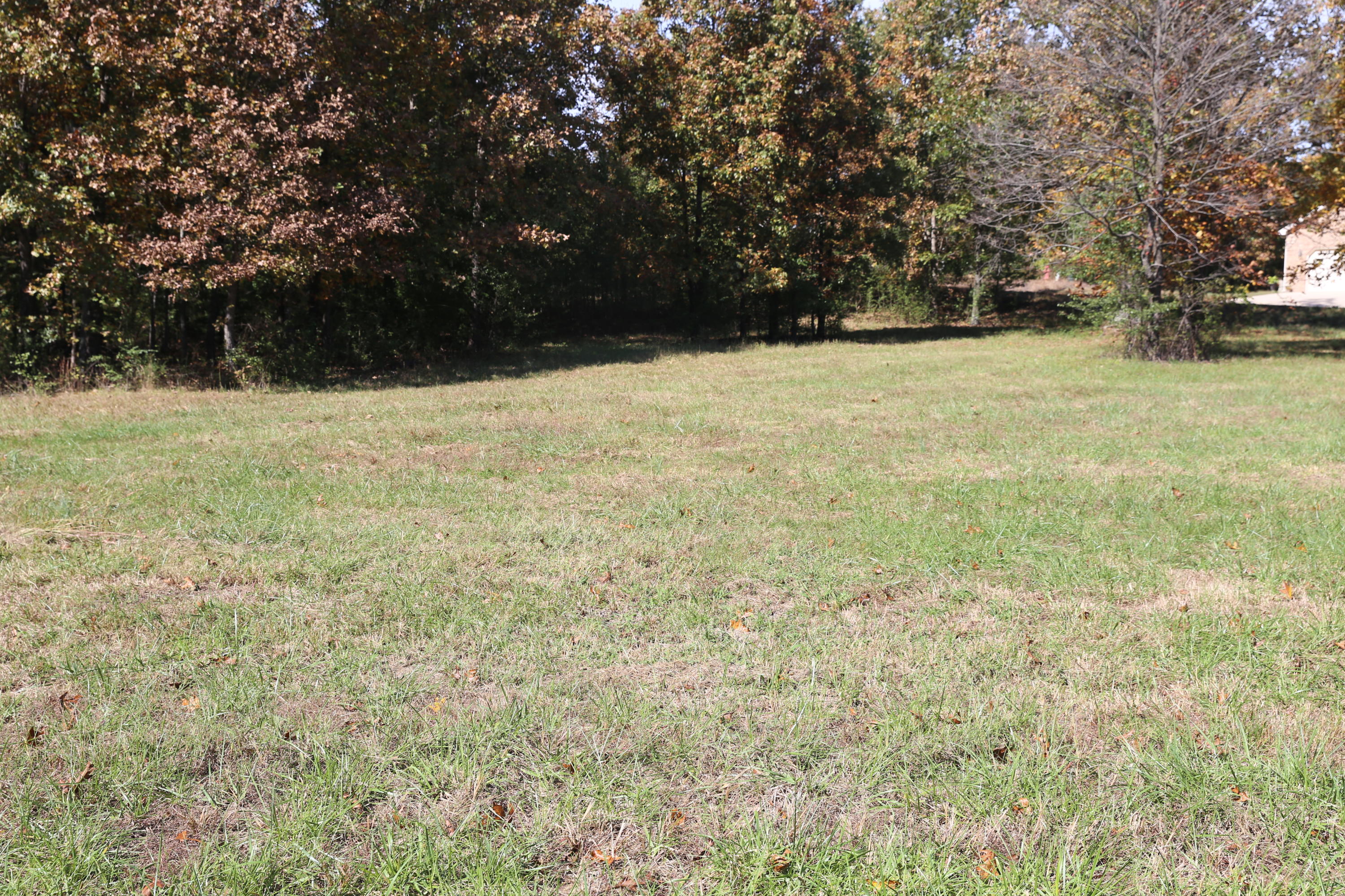 Photo 8 - Land for sale – 000  Wild Turkey Road  West Plains, MO