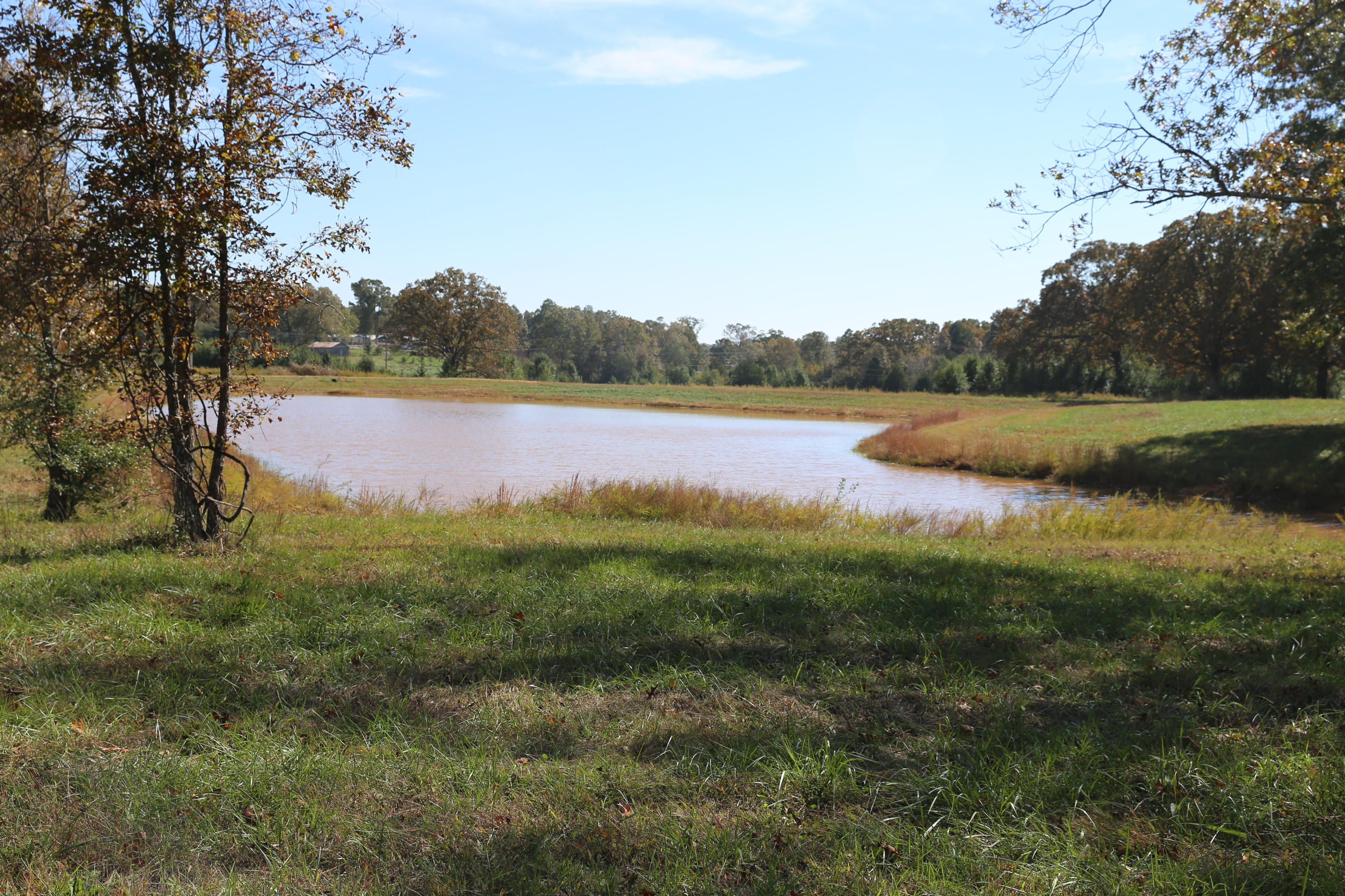 Photo 6 - Land for sale – 000  Wild Turkey Road  West Plains, MO