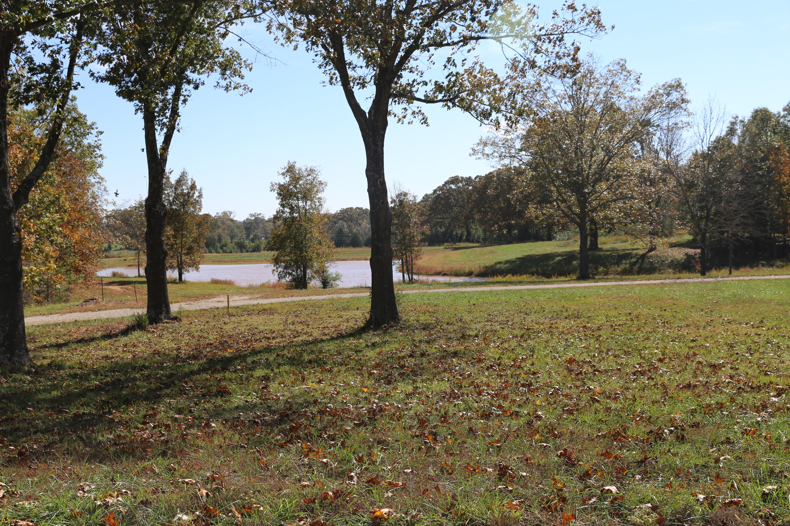 Photo 7 - Land for sale – 000  Wild Turkey Drive  West Plains, MO