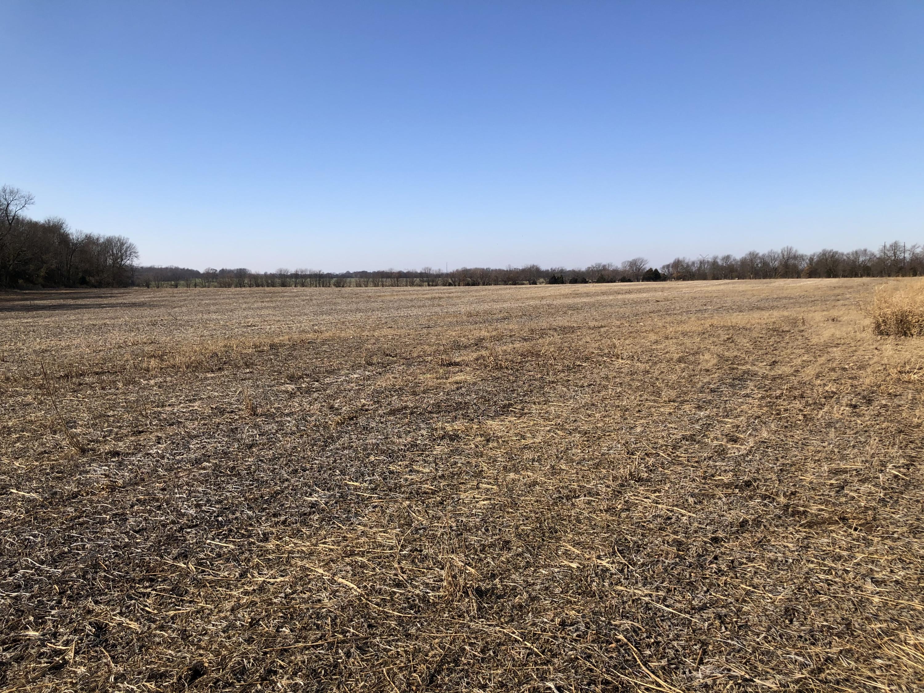 Photo 11 - Land for sale – Tbd W Farm Road 148   Republic, MO