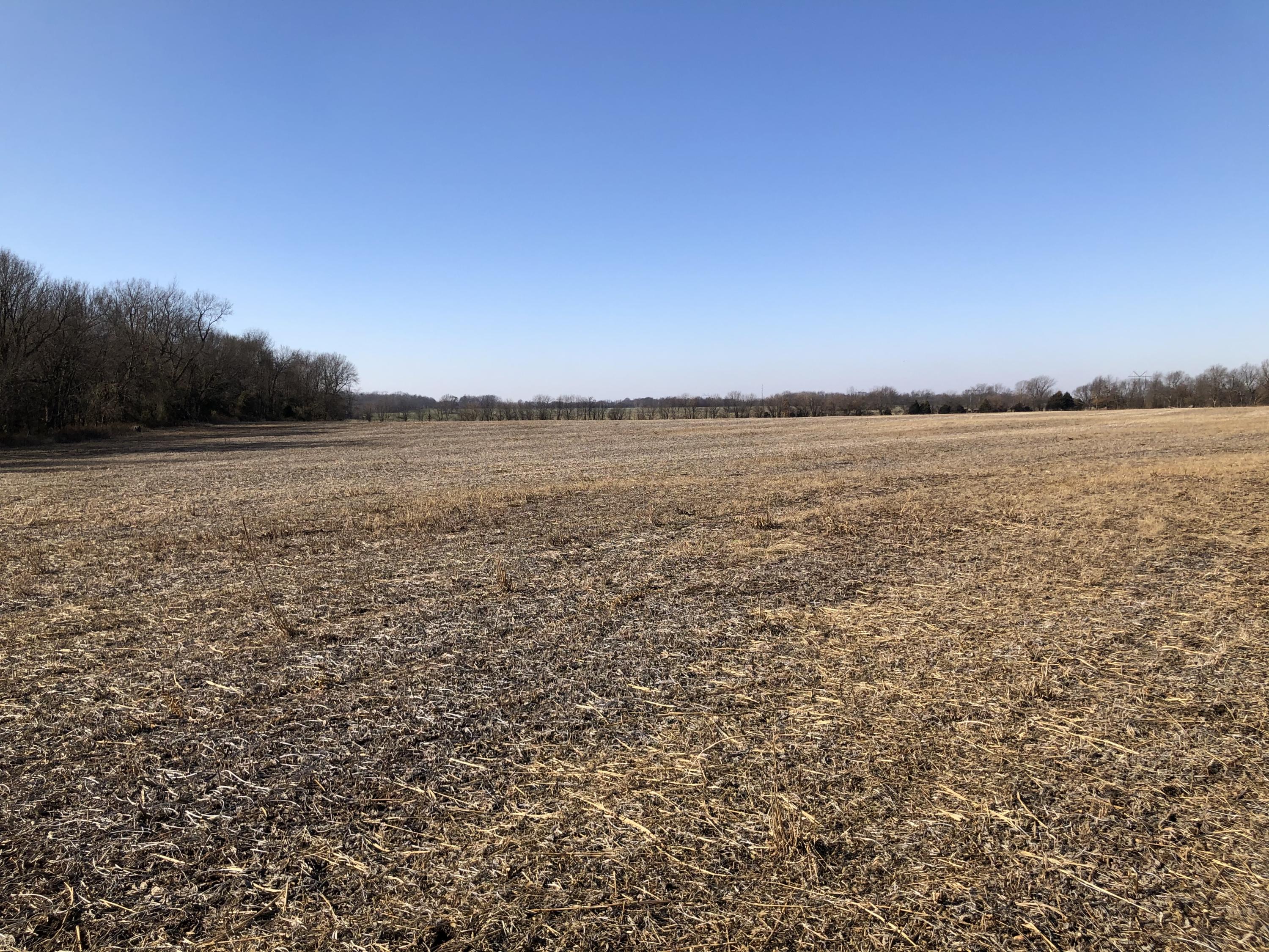 Photo 8 - Land for sale – Tbd W Farm Road 148   Republic, MO