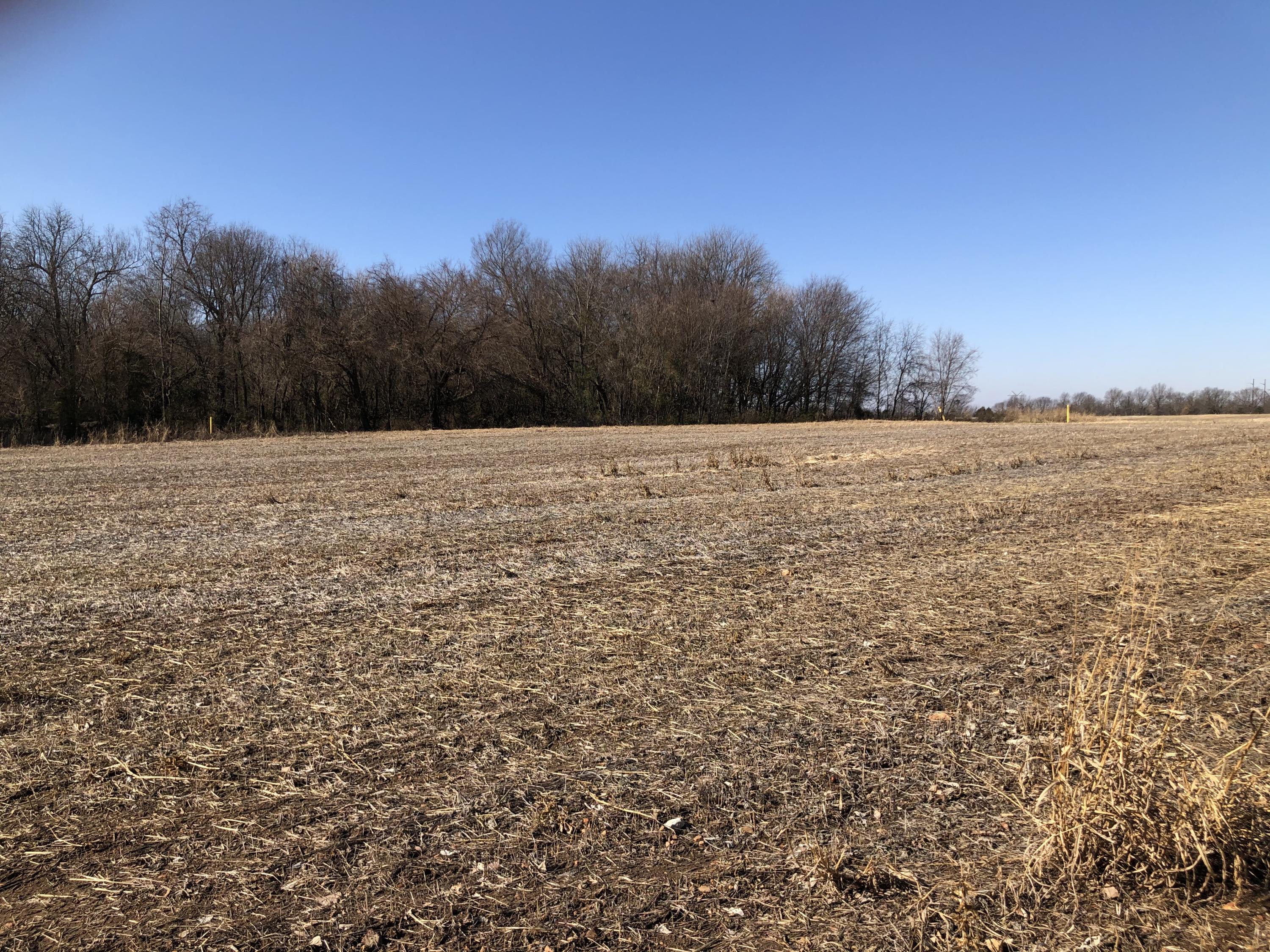 Photo 14 - Land for sale – Tbd W Farm Road 148   Republic, MO