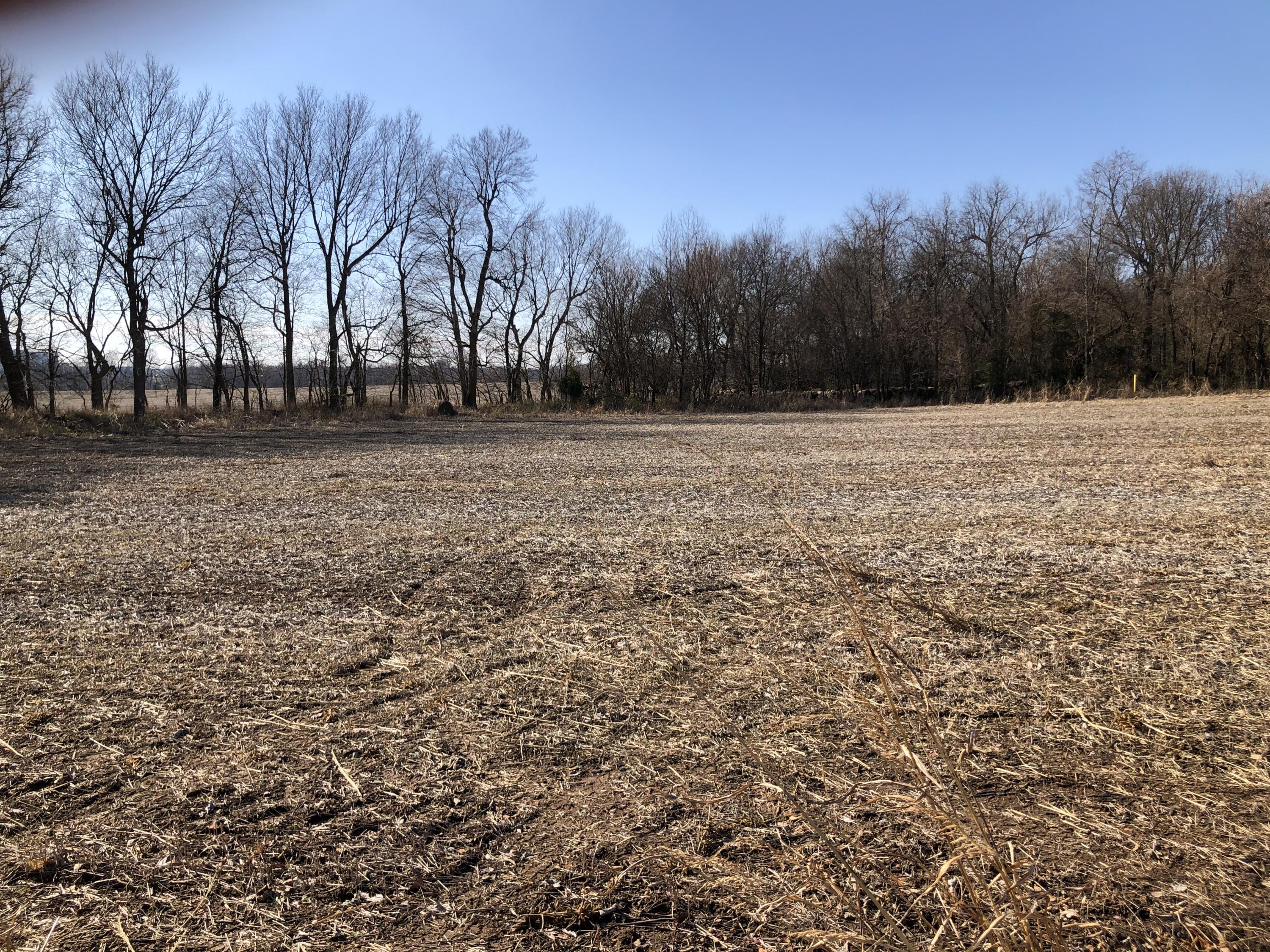 Photo 13 - Land for sale – Tbd W Farm Road 148   Republic, MO