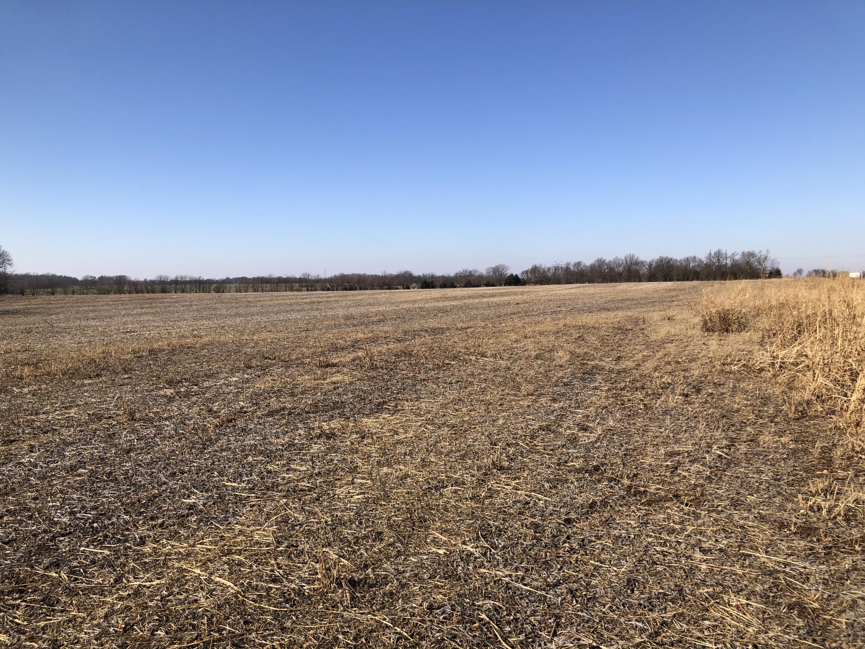 Photo 15 - Land for sale – Tbd W Farm Road 148   Republic, MO
