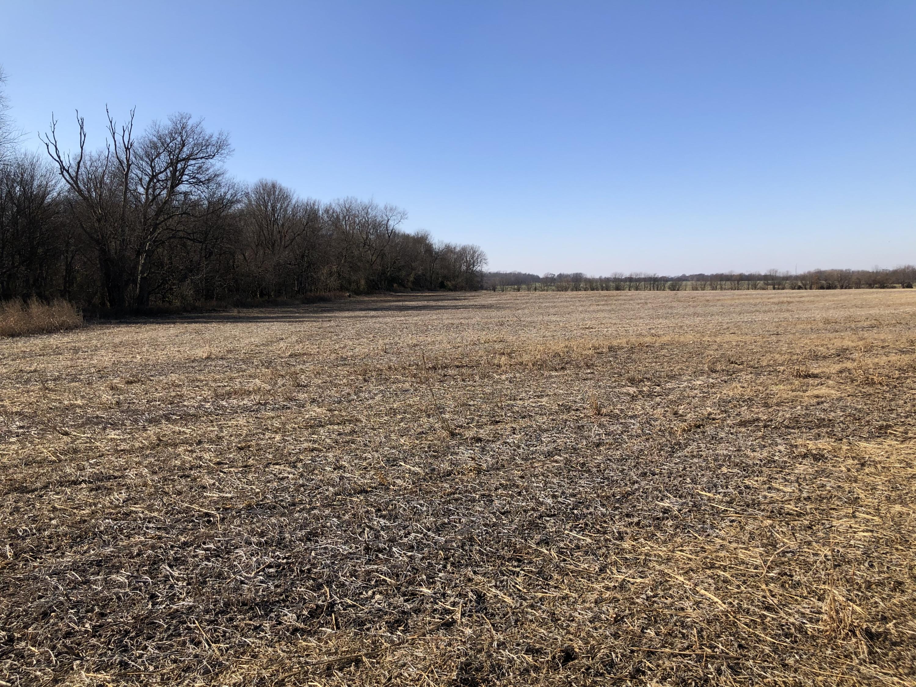 Photo 12 - Land for sale – Tbd W Farm Road 148   Republic, MO