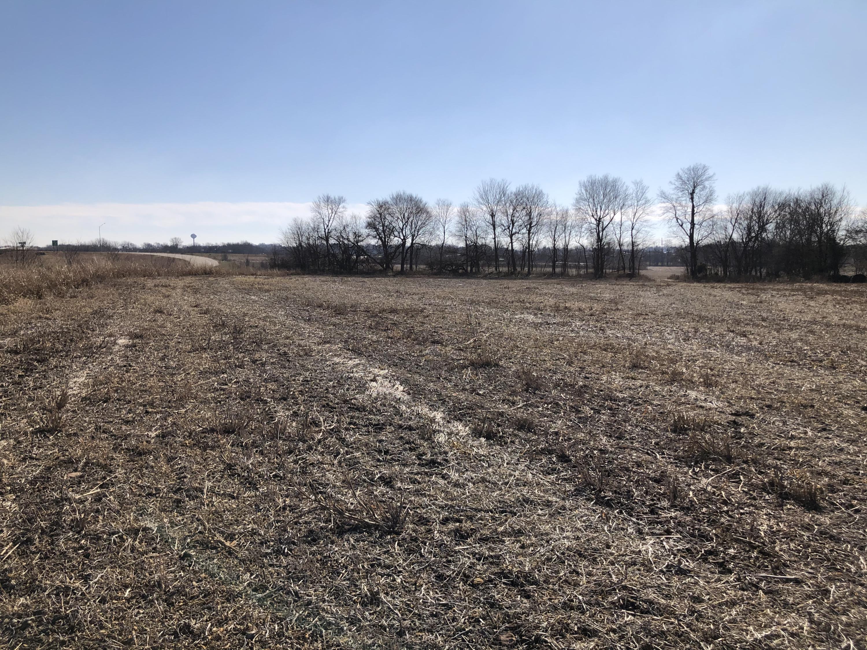 Photo 10 - Land for sale – Tbd W Farm Road 148   Republic, MO