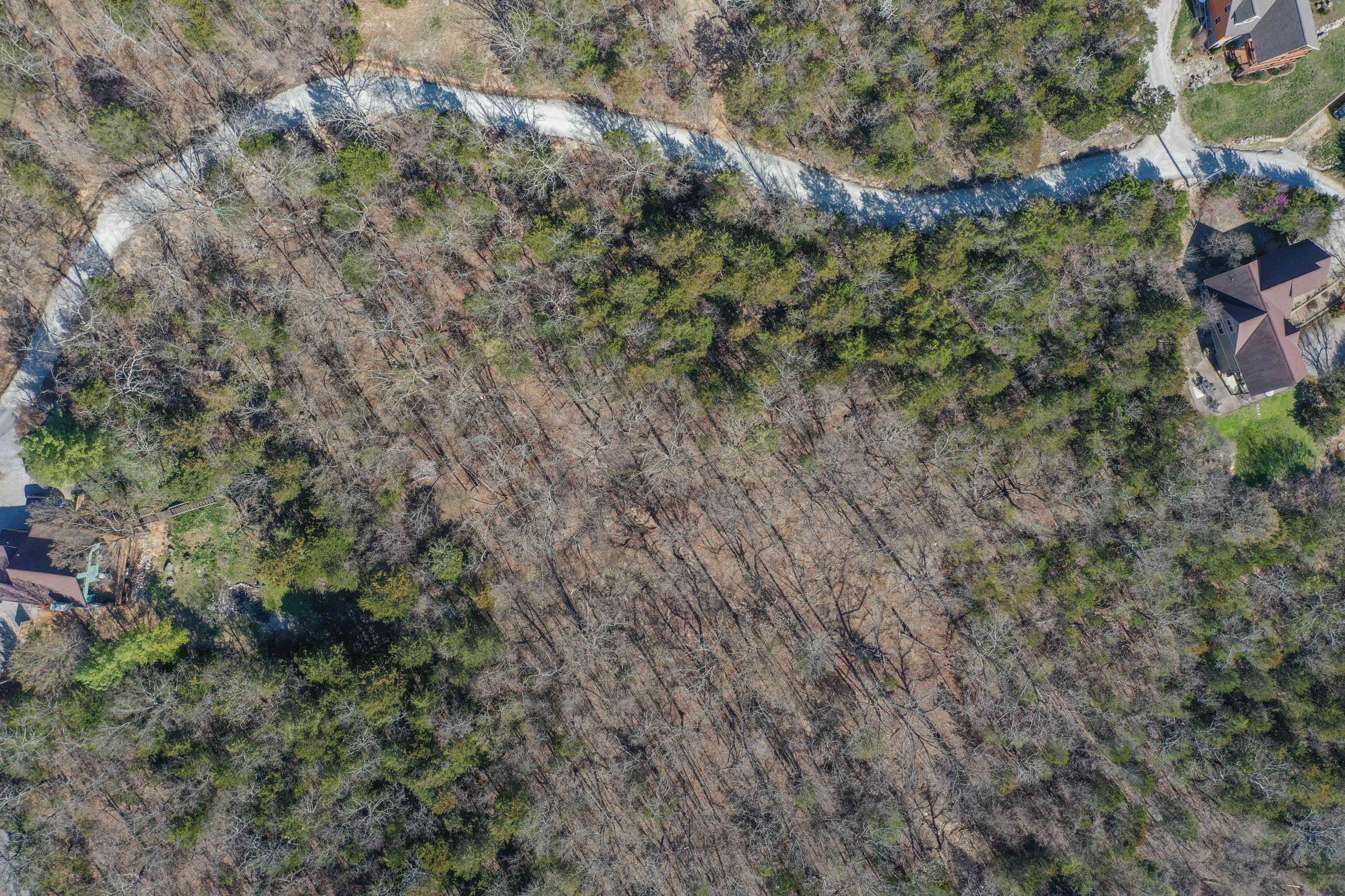 Photo 6 - Land for sale – Lot 37-39  Cardinal Cove Lane  Kimberling City, MO