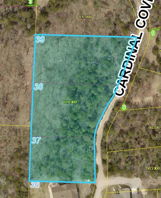 Photo 4 - Land for sale – Lot 37-39  Cardinal Cove Lane  Kimberling City, MO