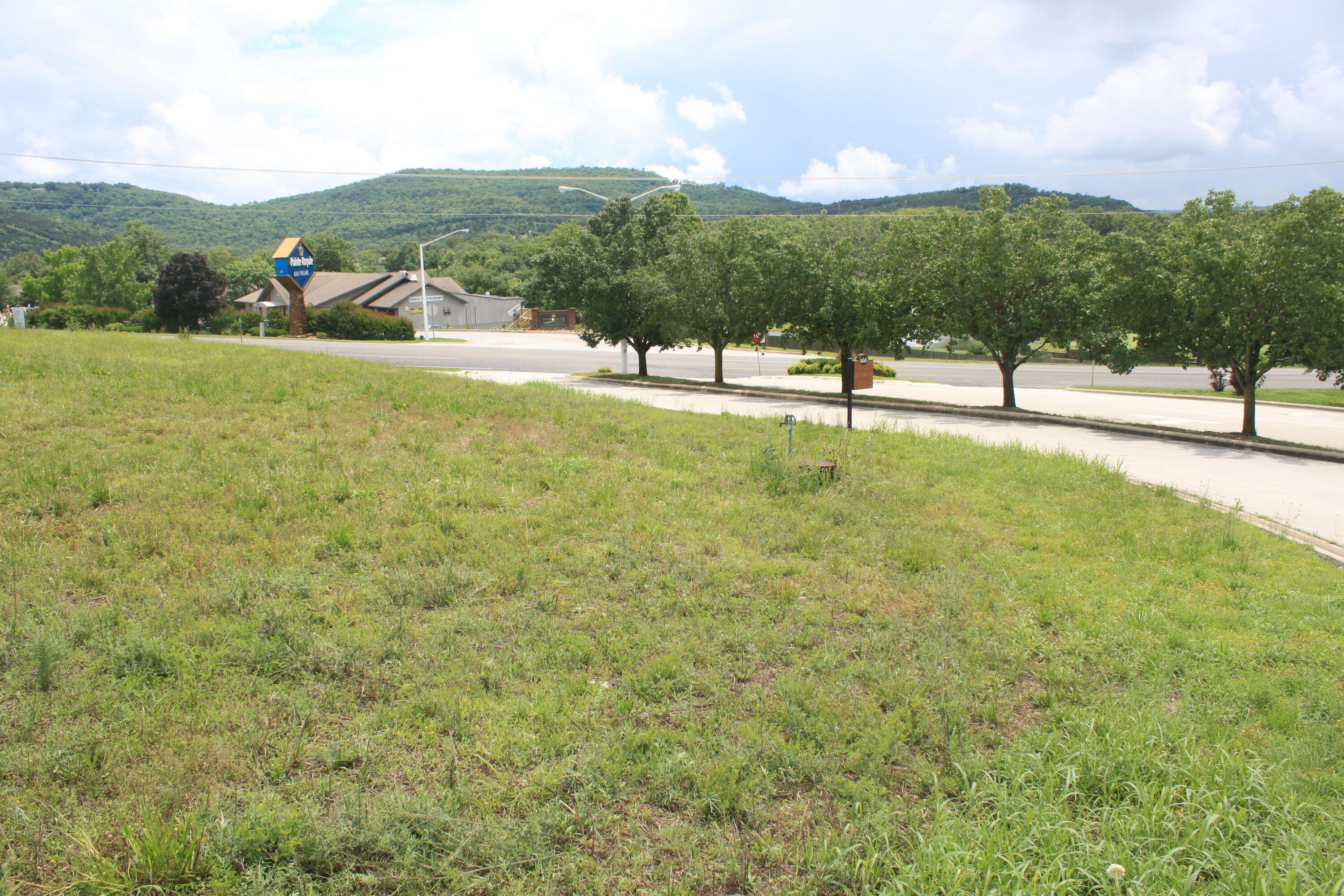 Photo 4 - Land for sale – 000  Terrace Parkway  Branson, MO