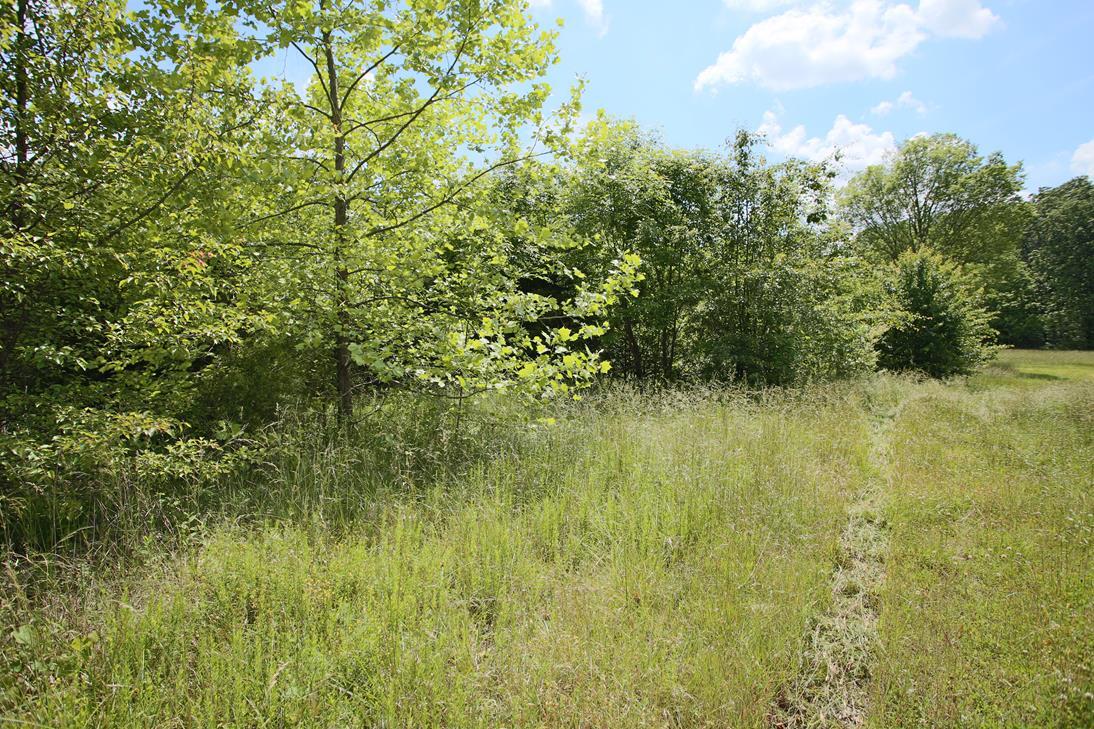 Photo 14 - Land for sale – 000  Arrowhead Acres   West Plains, MO