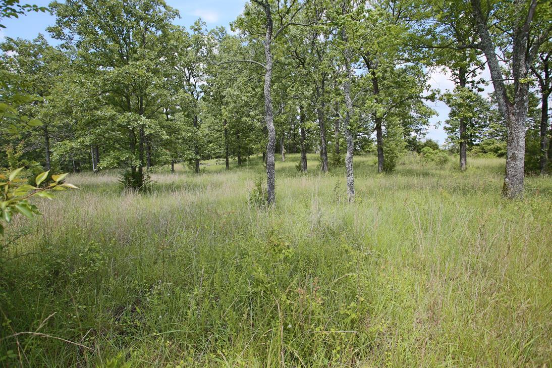 Photo 15 - Land for sale – 000  Arrowhead Acres   West Plains, MO