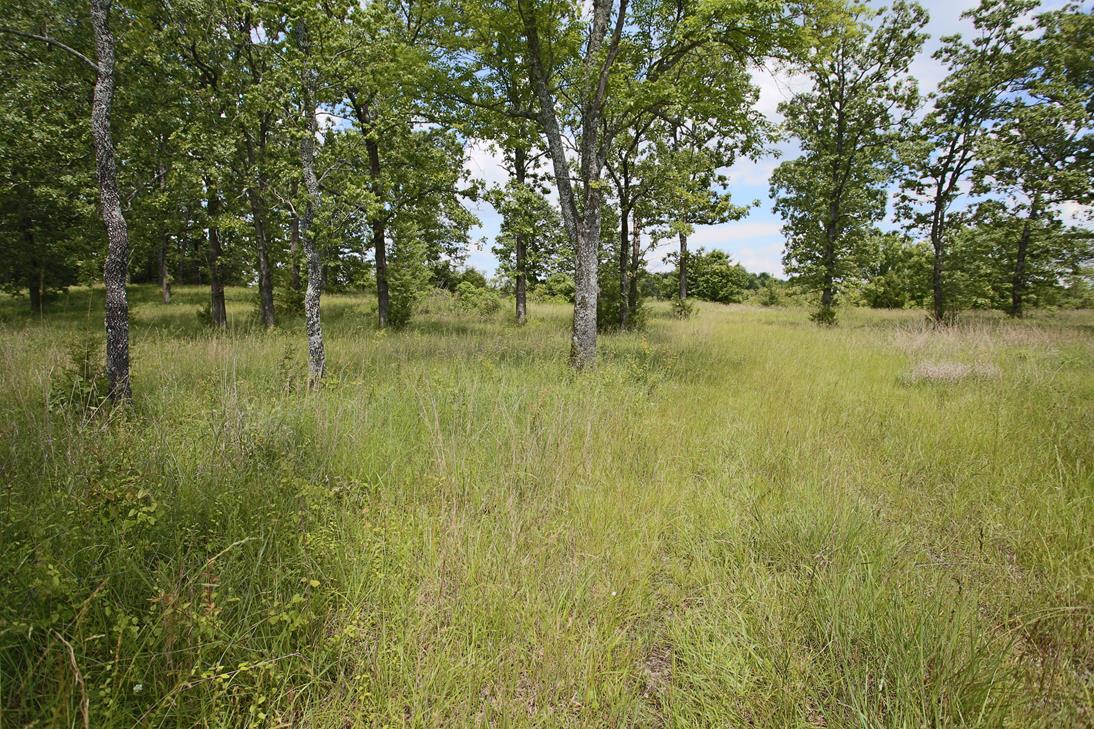 Land for sale – 000  Arrowhead Acres   West Plains, MO