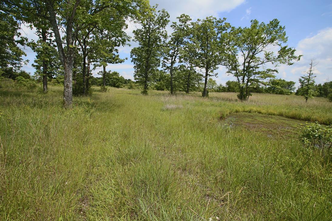 Photo 16 - Land for sale – 000  Arrowhead Acres   West Plains, MO