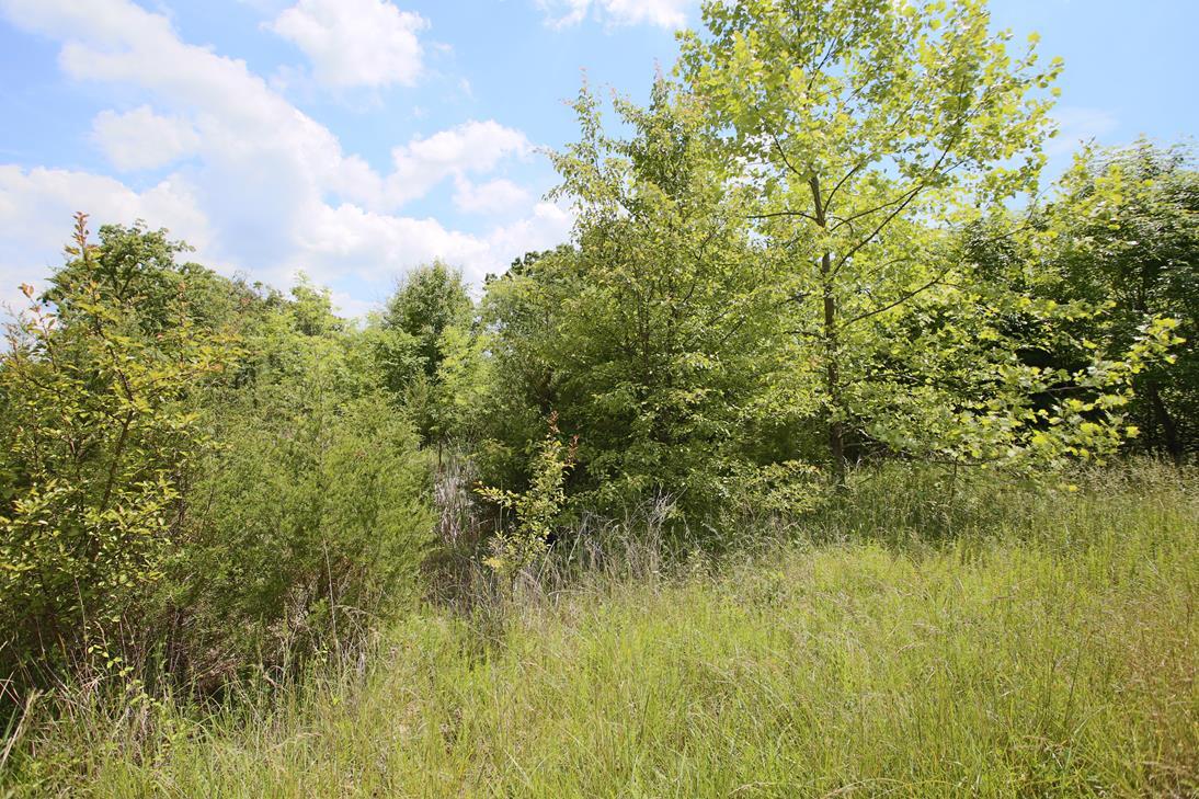 Photo 11 - Land for sale – 000  Arrowhead Acres   West Plains, MO