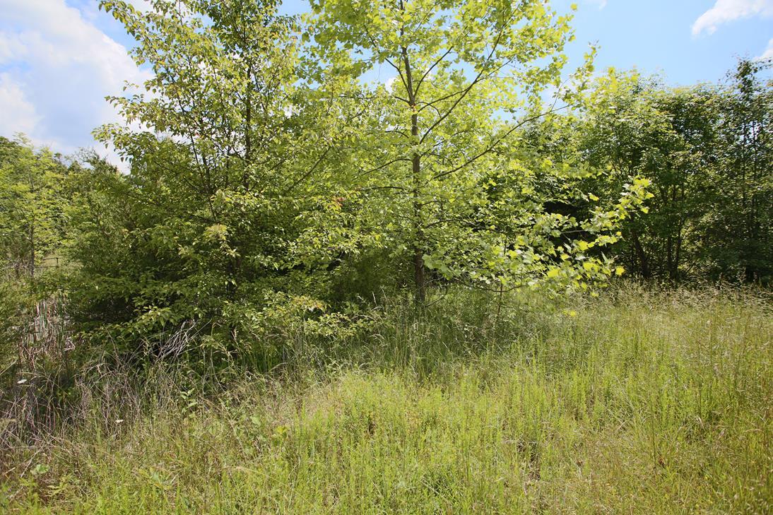 Photo 13 - Land for sale – 000  Arrowhead Acres   West Plains, MO