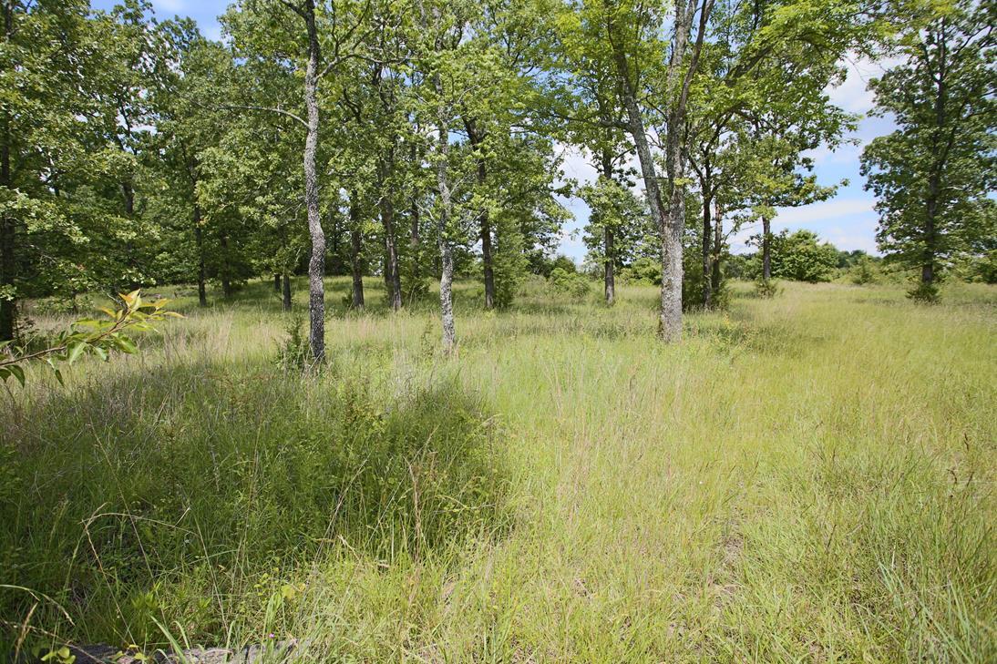 Photo 12 - Land for sale – 000  Arrowhead Acres   West Plains, MO