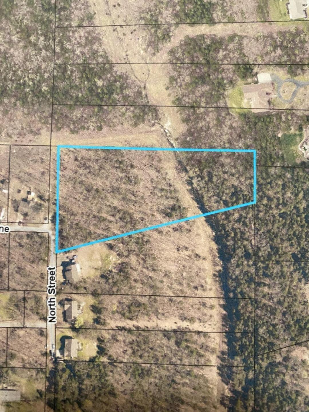 Photo 4 - Land for sale – 000  North Street   Branson, MO