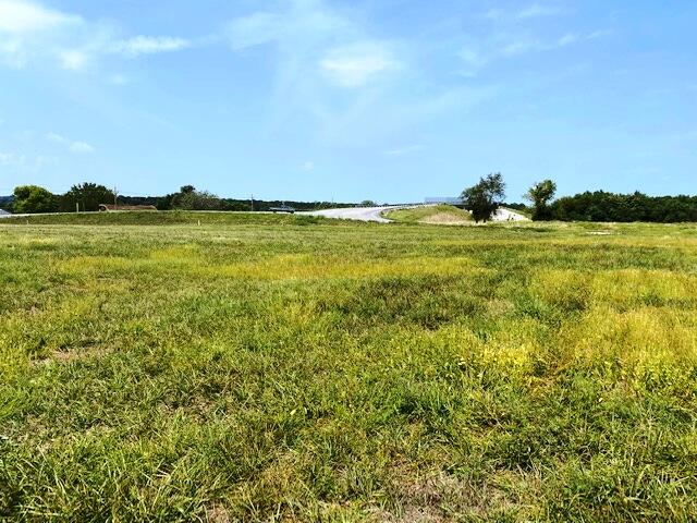 Land for sale – 000  Highway 39   Aurora, MO