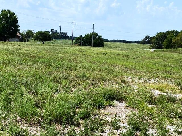 Photo 5 - Land for sale – 000  Highway 39   Aurora, MO
