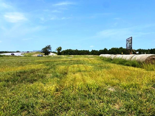Photo 3 - Land for sale – 000  Highway 39   Aurora, MO