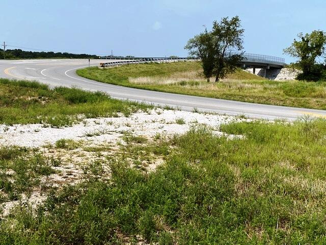 Photo 4 - Land for sale – 000  Highway 39   Aurora, MO