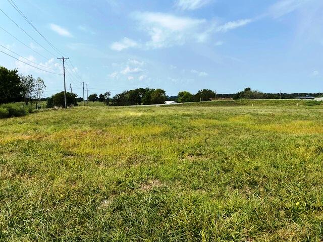 Photo 2 - Land for sale – 000  Highway 39   Aurora, MO