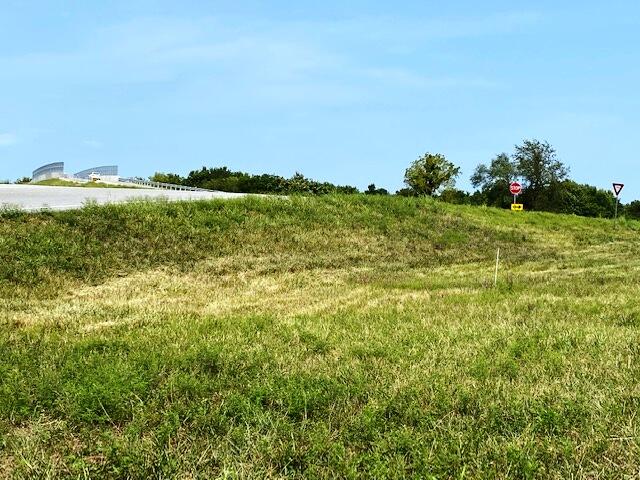 Photo 7 - Land for sale – 000  Highway 39   Aurora, MO